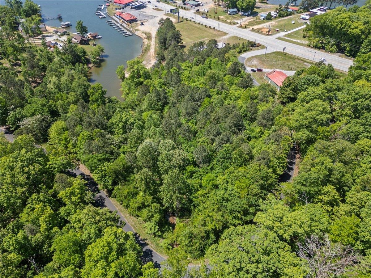 00 Lake Forest Drive, Waterloo, South Carolina image 10
