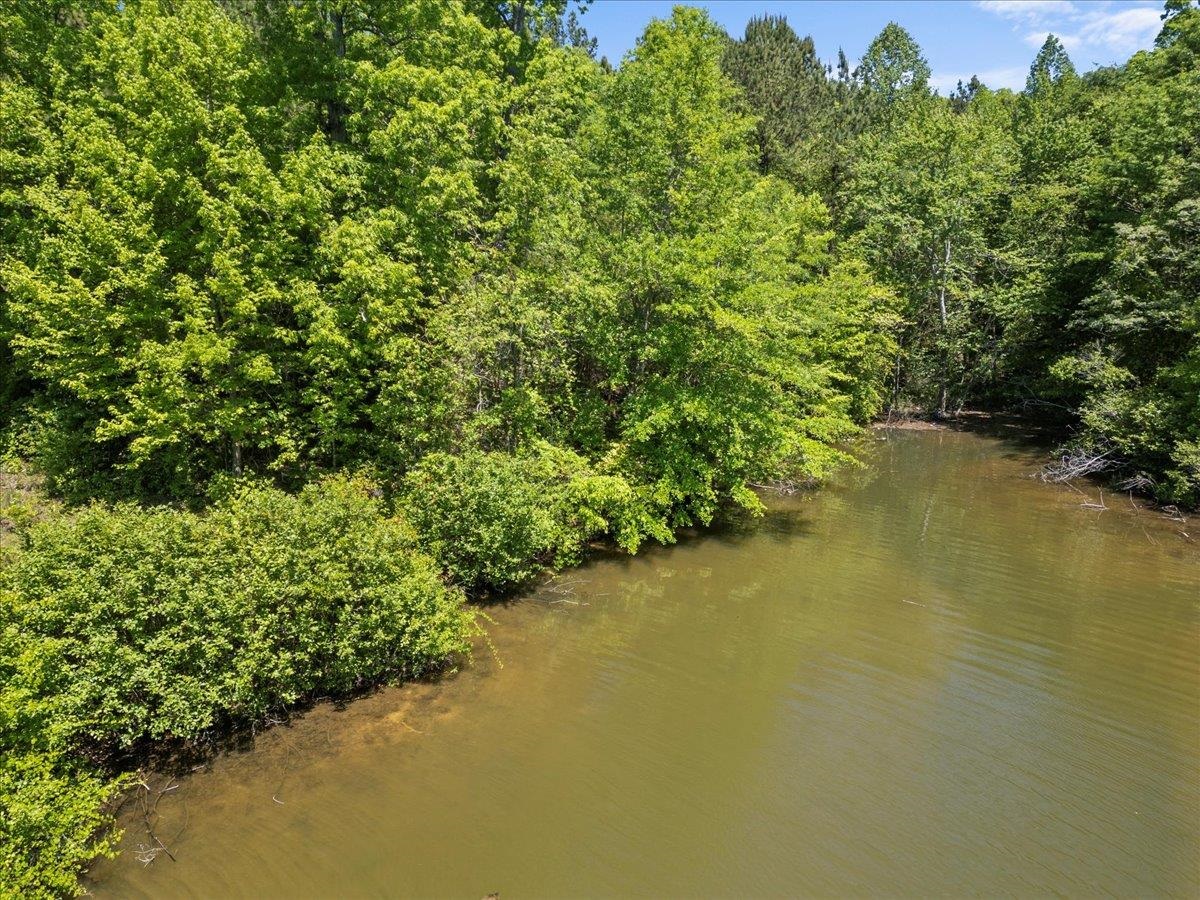 00 Lake Forest Drive, Waterloo, South Carolina image 4
