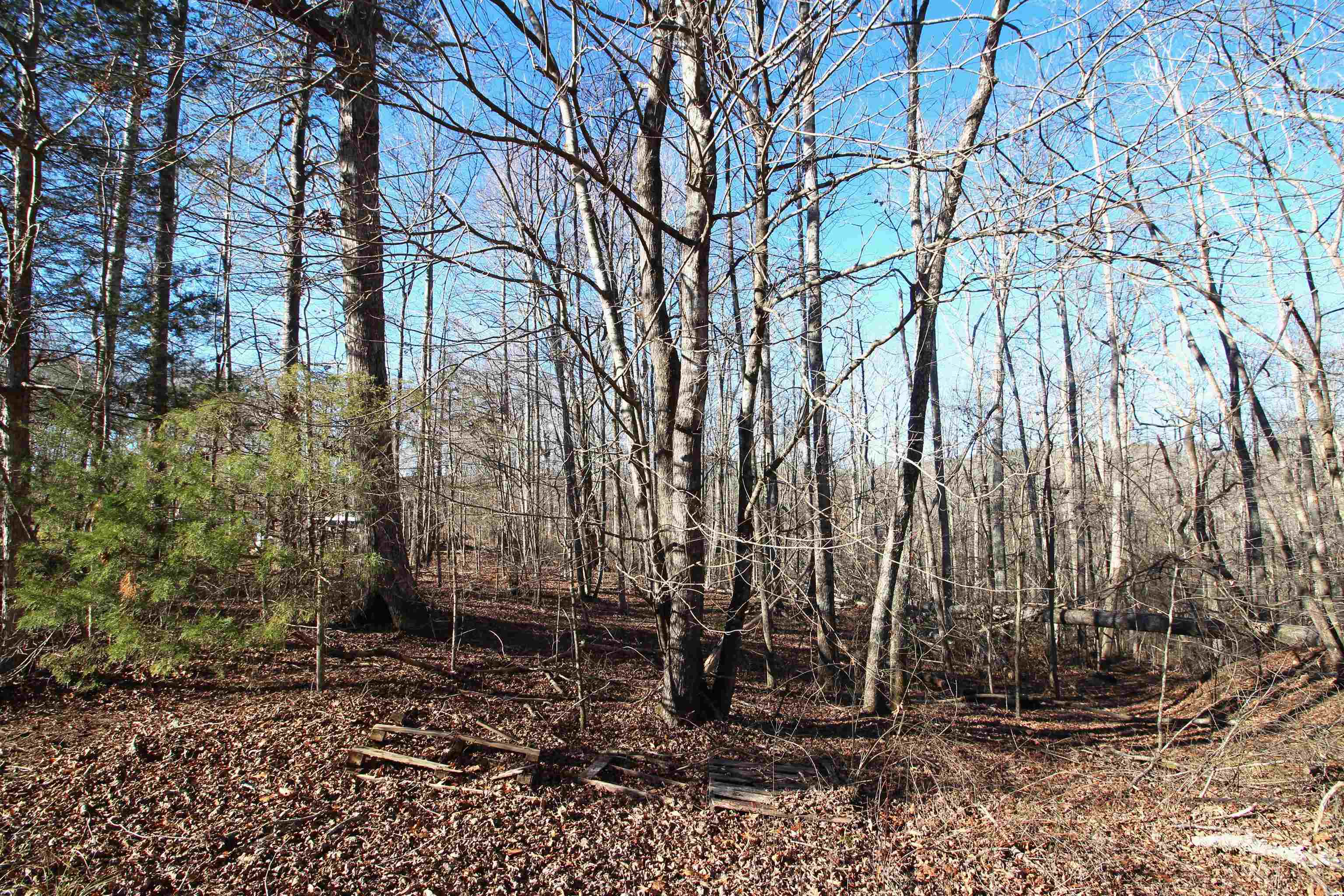 1559 Country Estates Road, Inman, South Carolina image 4