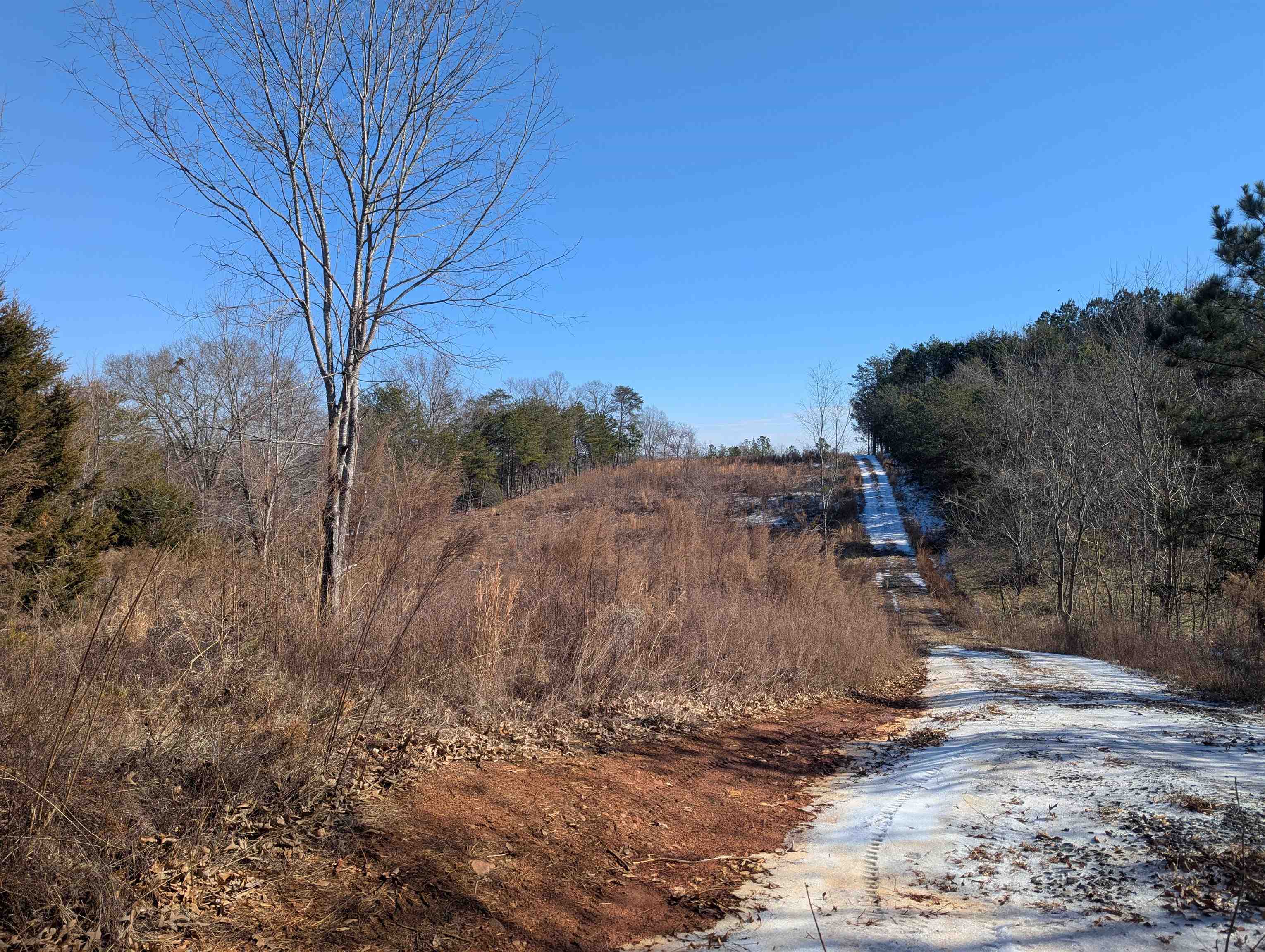 440 Old Melvin Hill Road, Campobello, South Carolina image 1