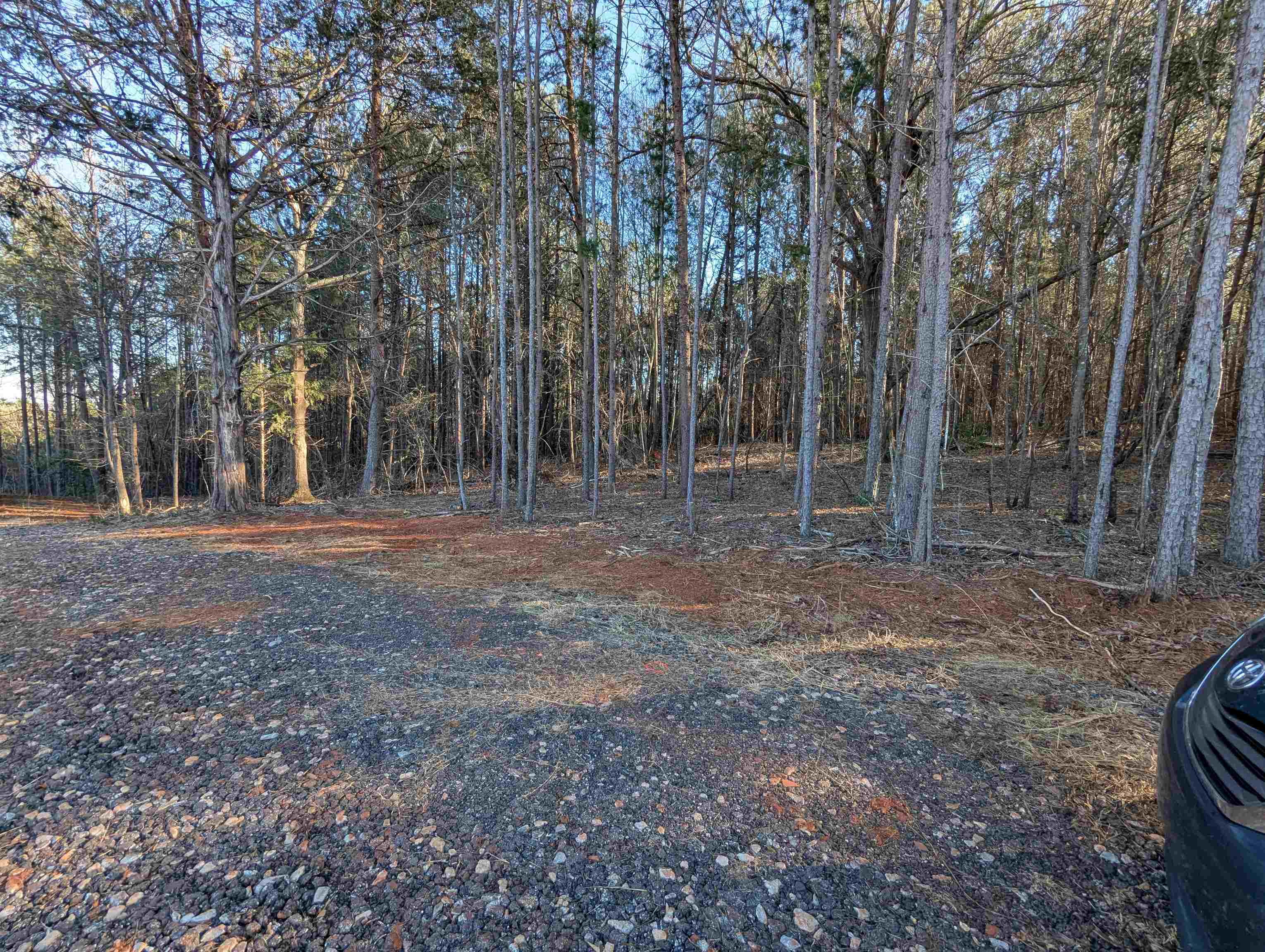 440 Old Melvin Hill Road, Campobello, South Carolina image 8