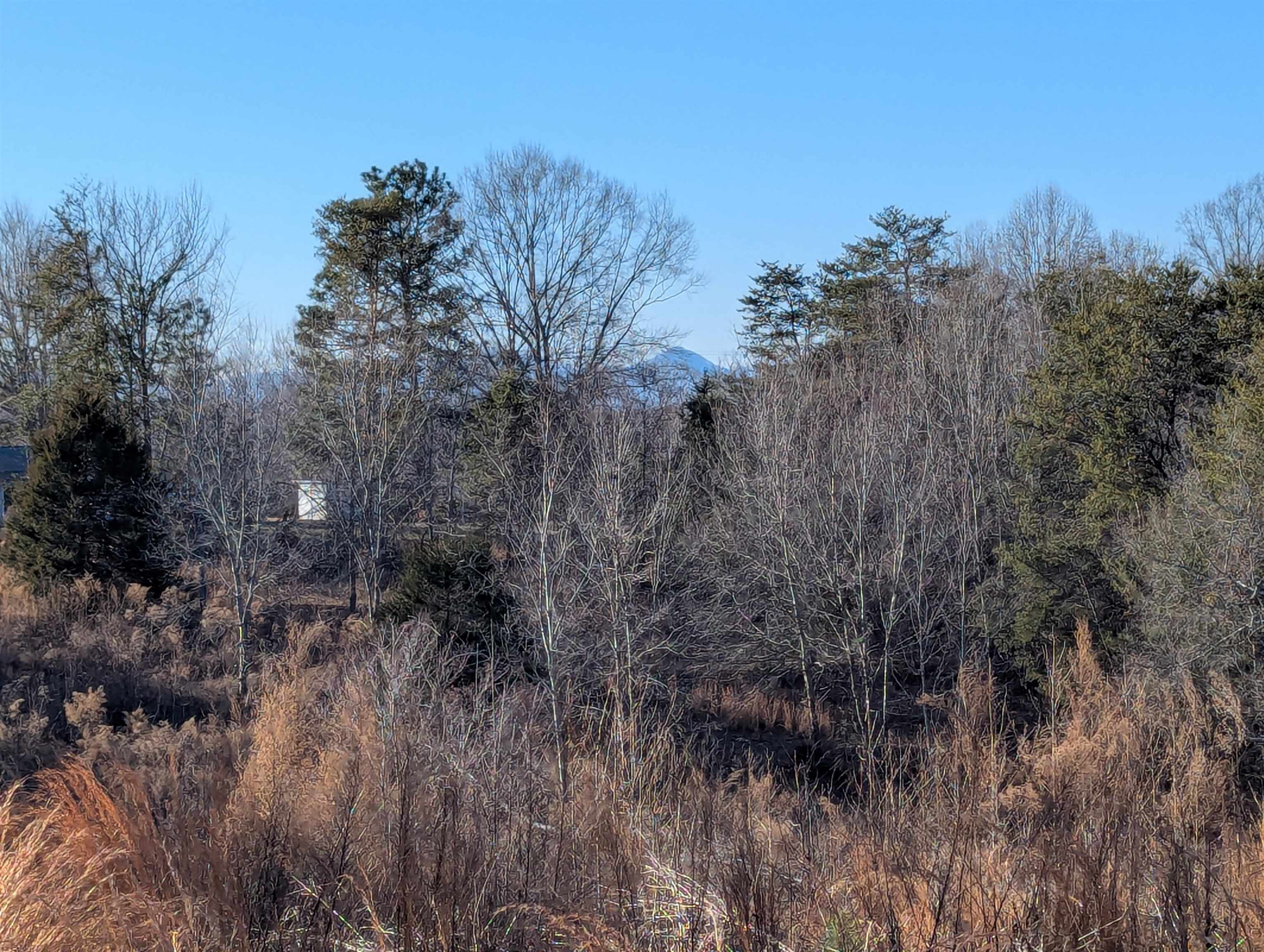 440 Old Melvin Hill Road, Campobello, South Carolina image 3