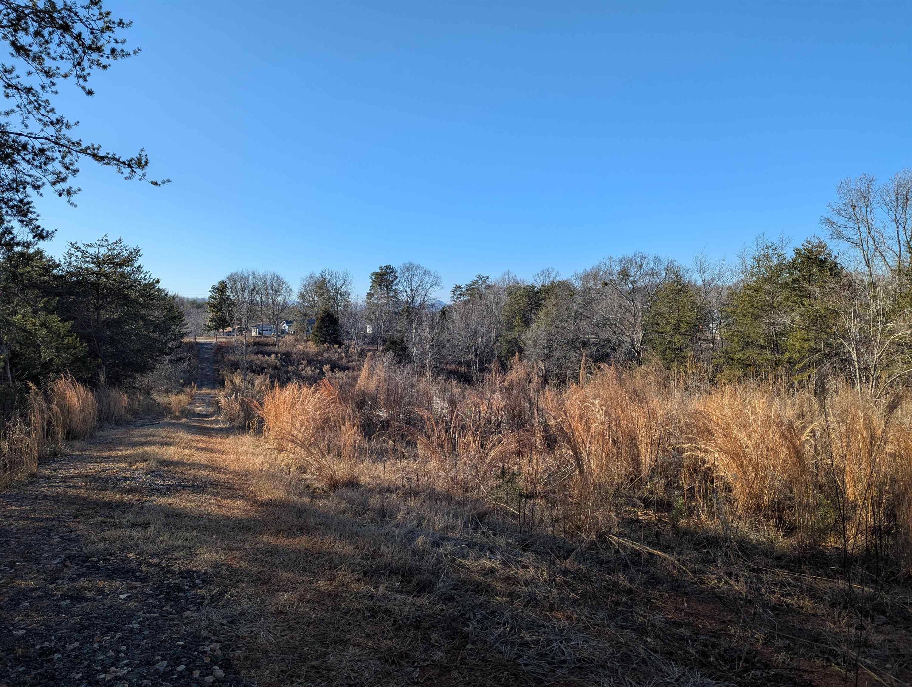 440 Old Melvin Hill Road, Campobello, South Carolina image 2