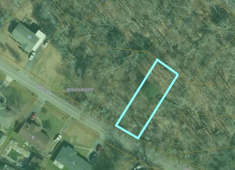Vacant Land For Sale - 0000 Poplar Street<br/> Woodruff, SC 29388
