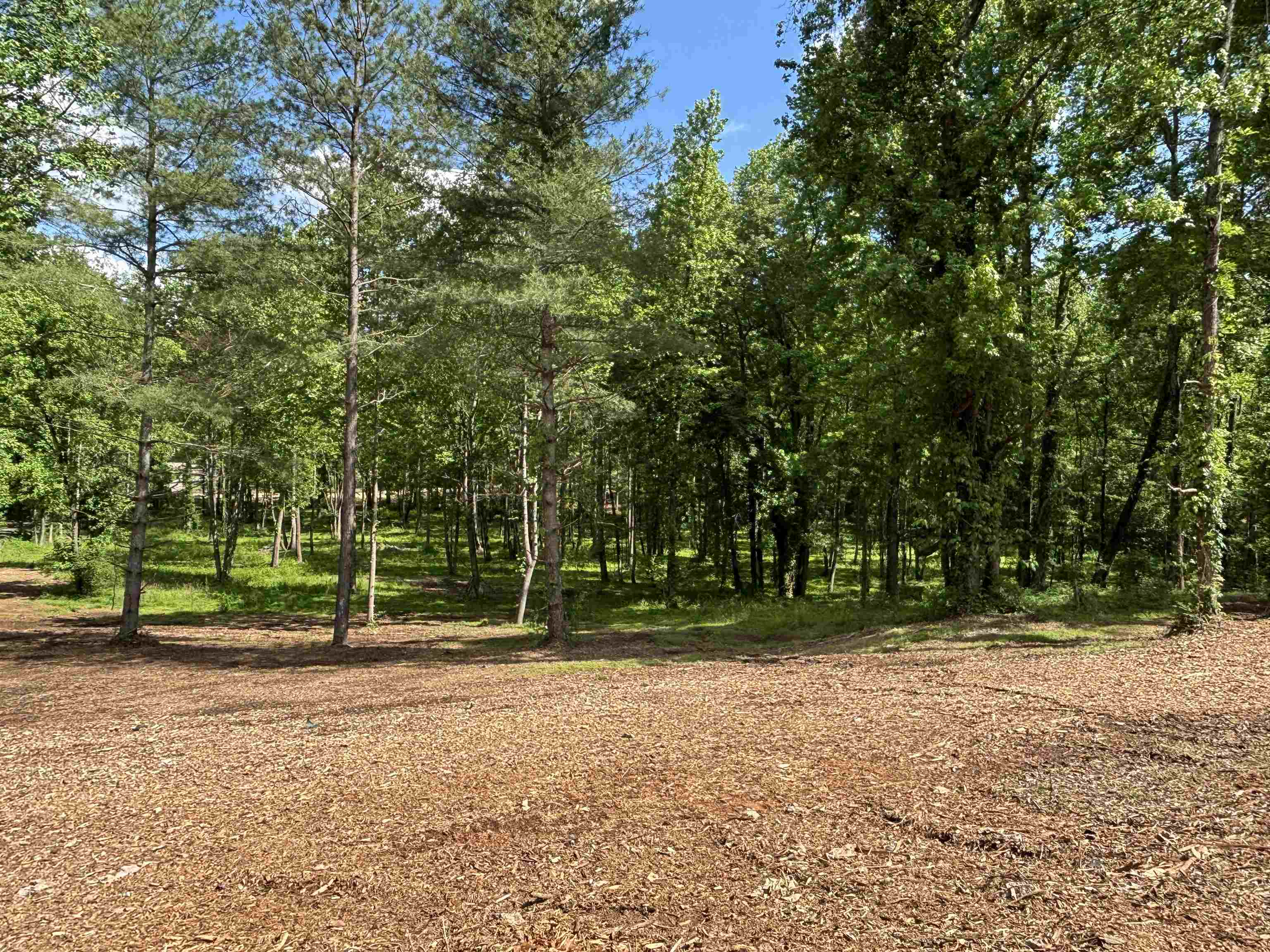 4637 Howe Road, Greer, South Carolina image 10