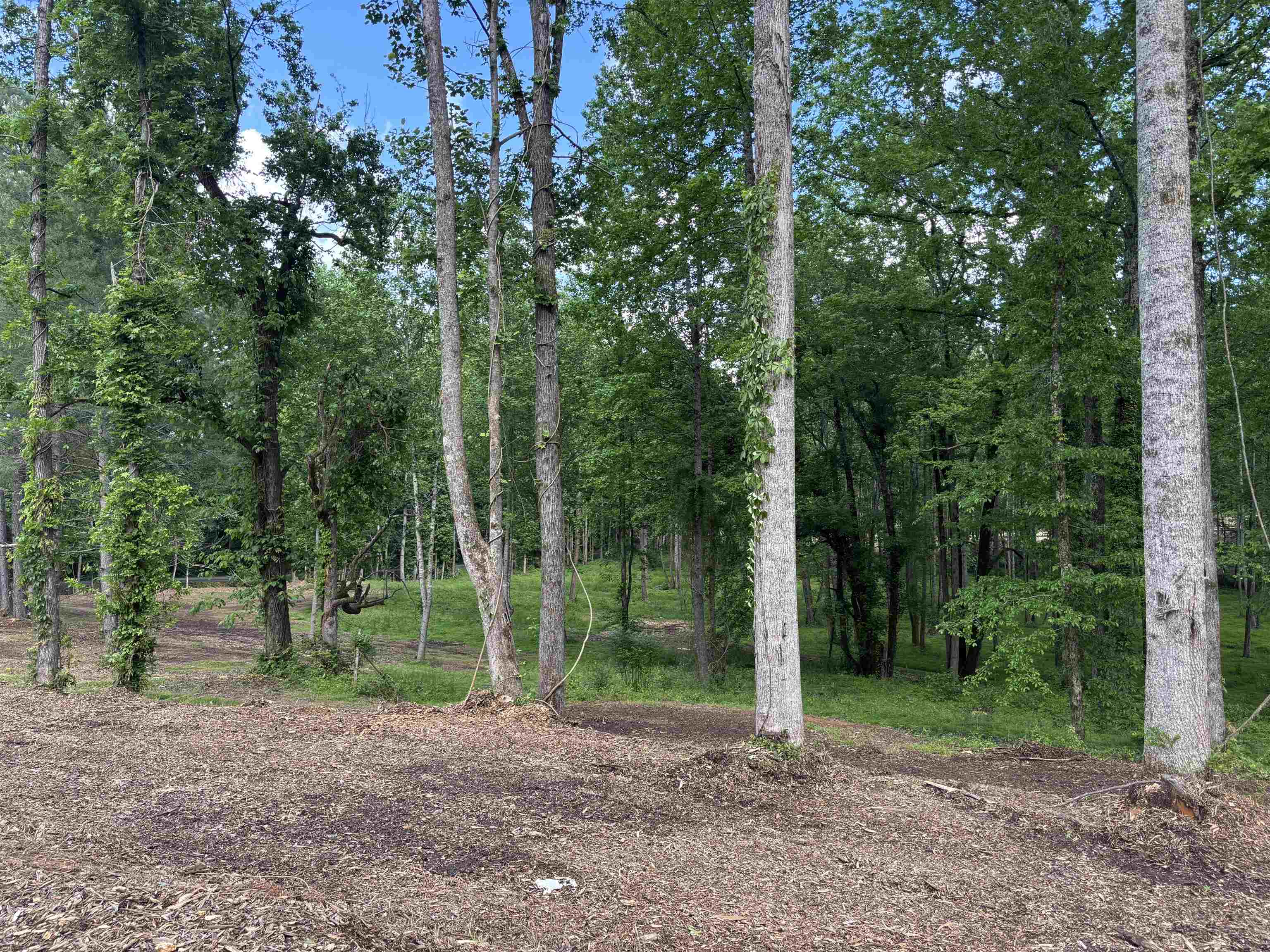 4637 Howe Road, Greer, South Carolina image 24