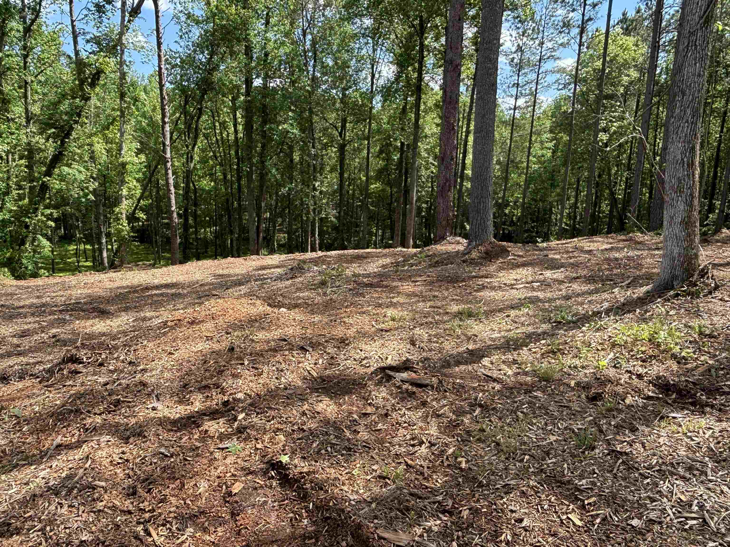 4637 Howe Road, Greer, South Carolina image 11