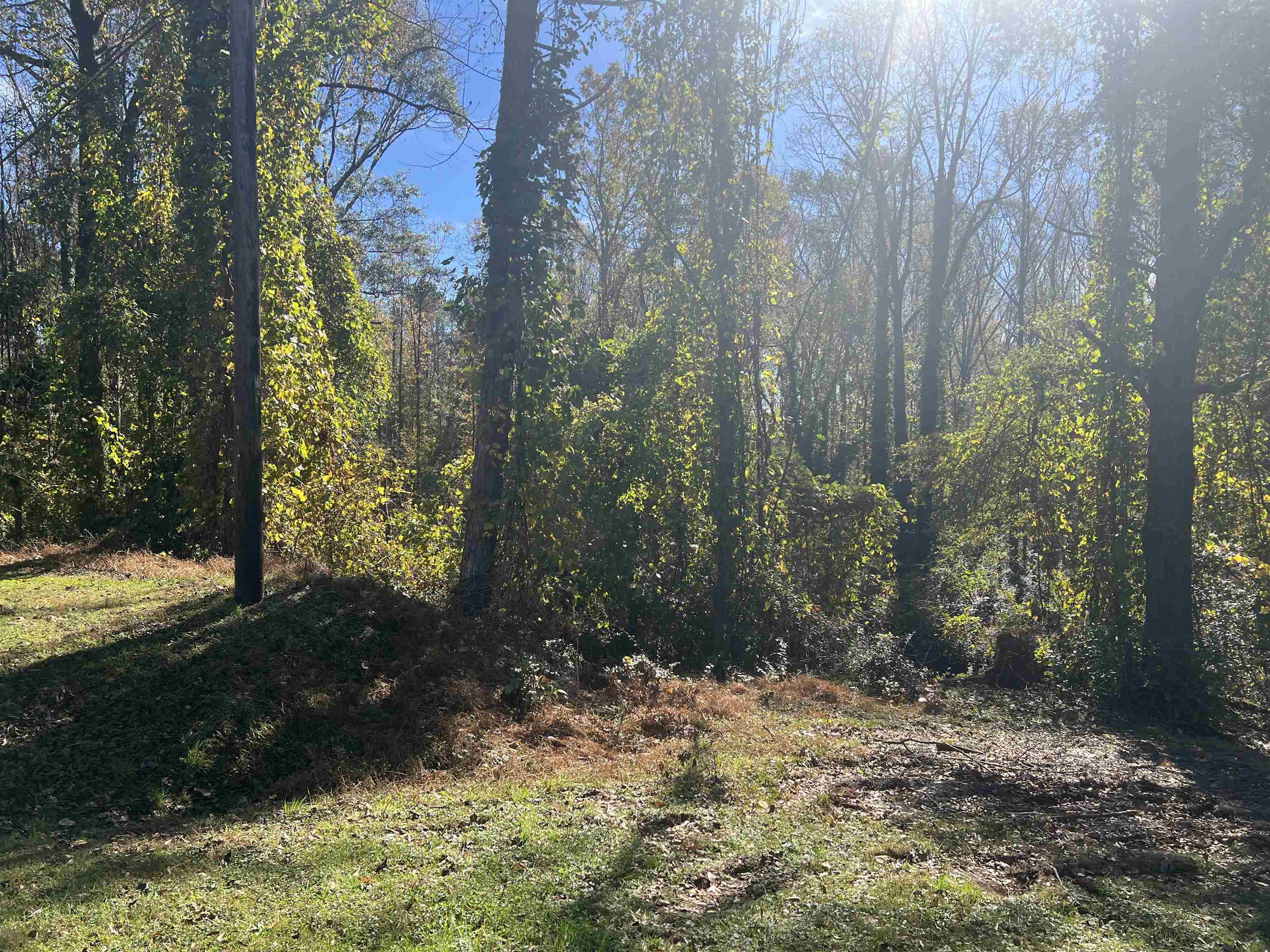 Putman Court, Spartanburg, South Carolina image 3