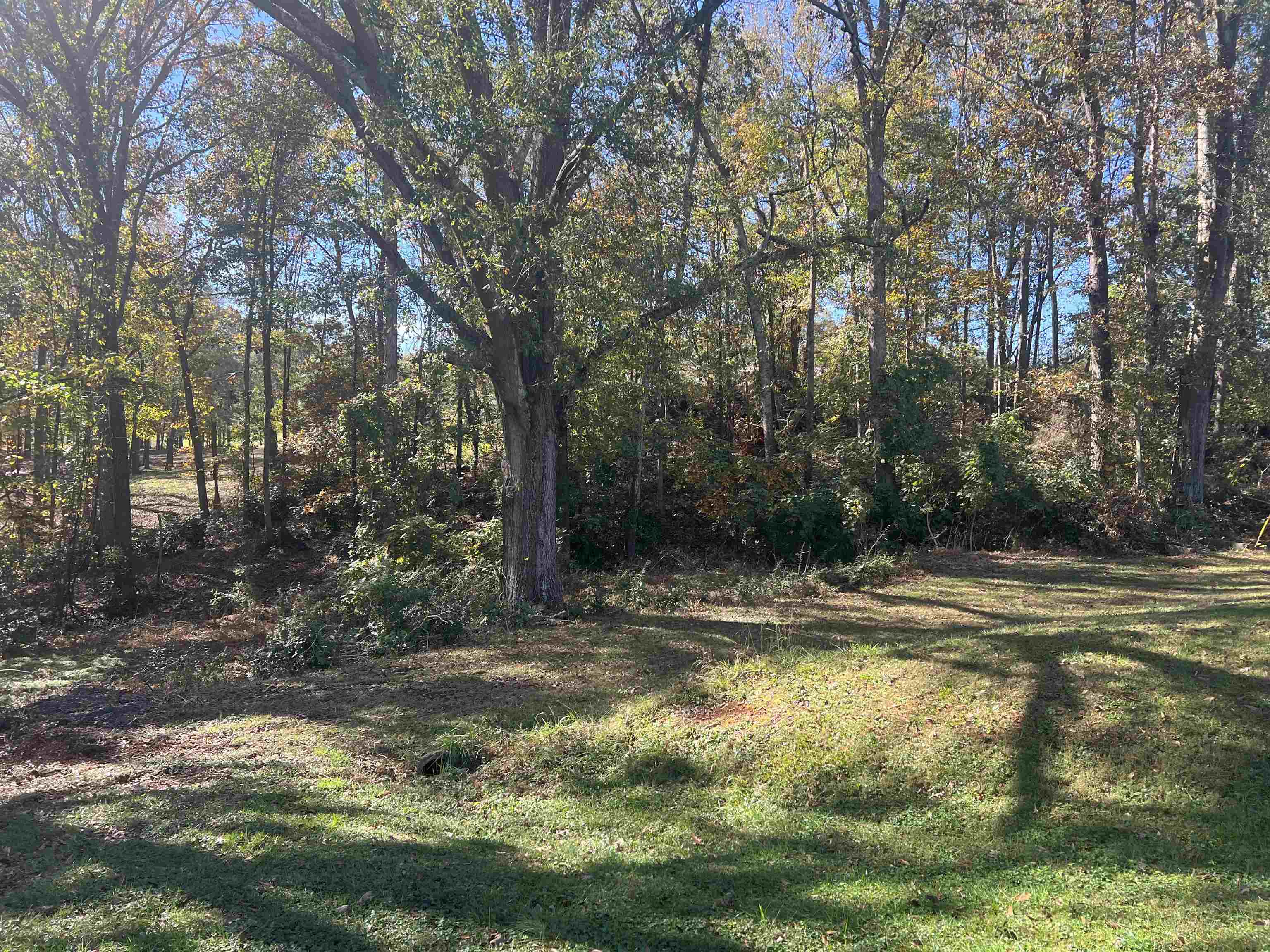 Putman Court, Spartanburg, South Carolina image 2