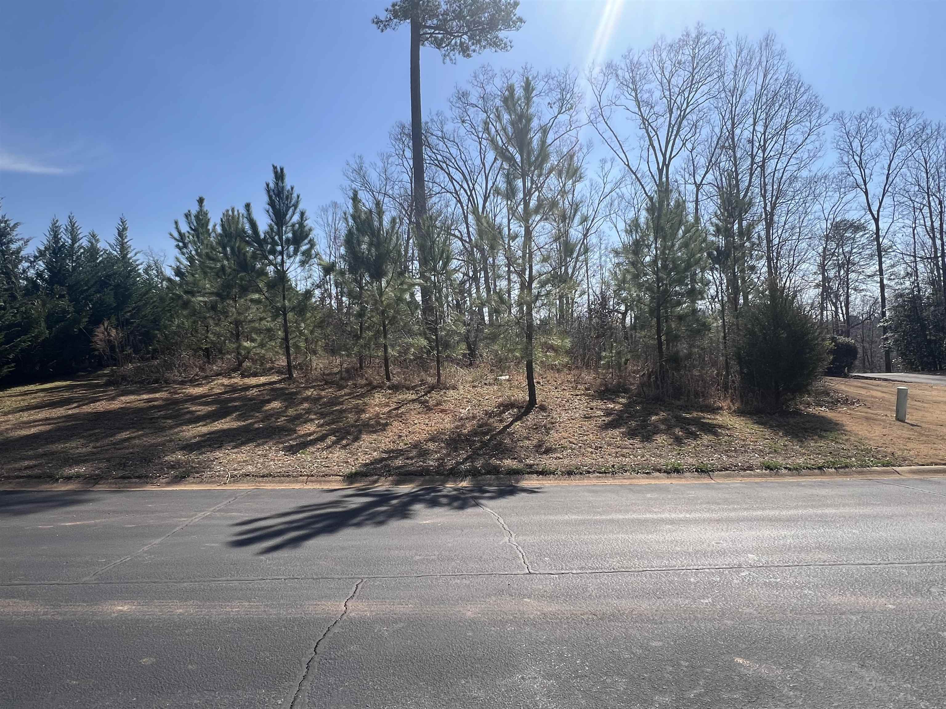 385 Country Oak Road, chesnee, South Carolina image 24