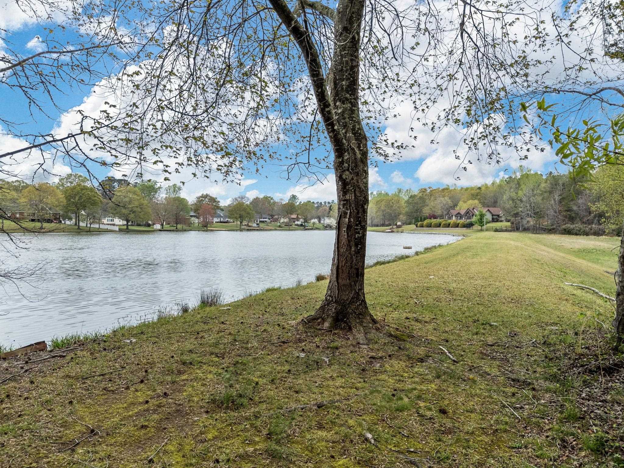 167 Chestnut Lake Drive, Inman, South Carolina image 6