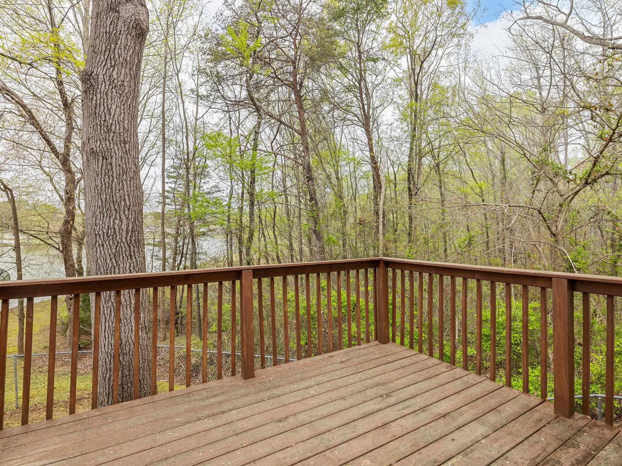 167 Chestnut Lake Drive, Inman, South Carolina image 4