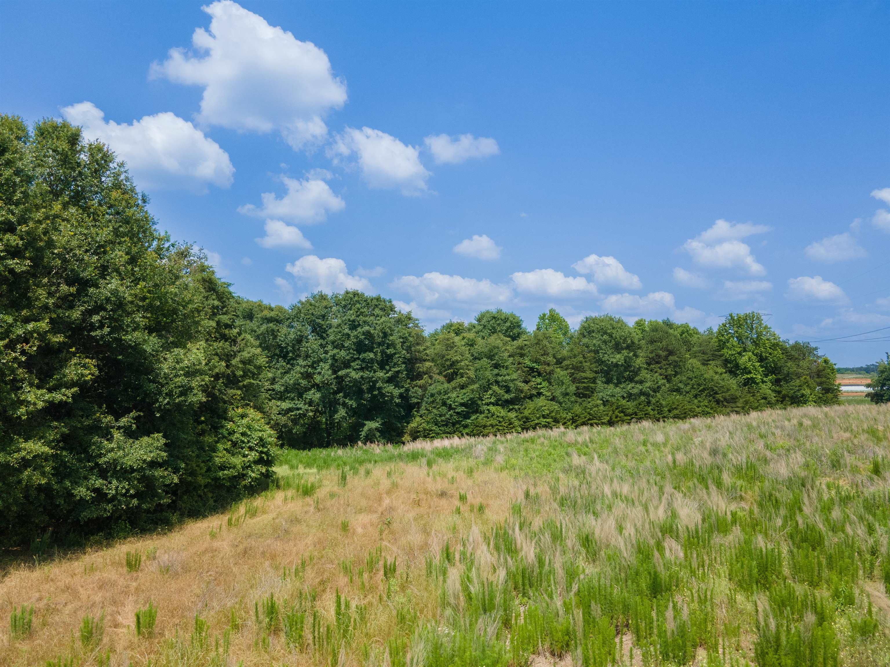 646 Plainview Drive, Spartanburg, South Carolina image 1