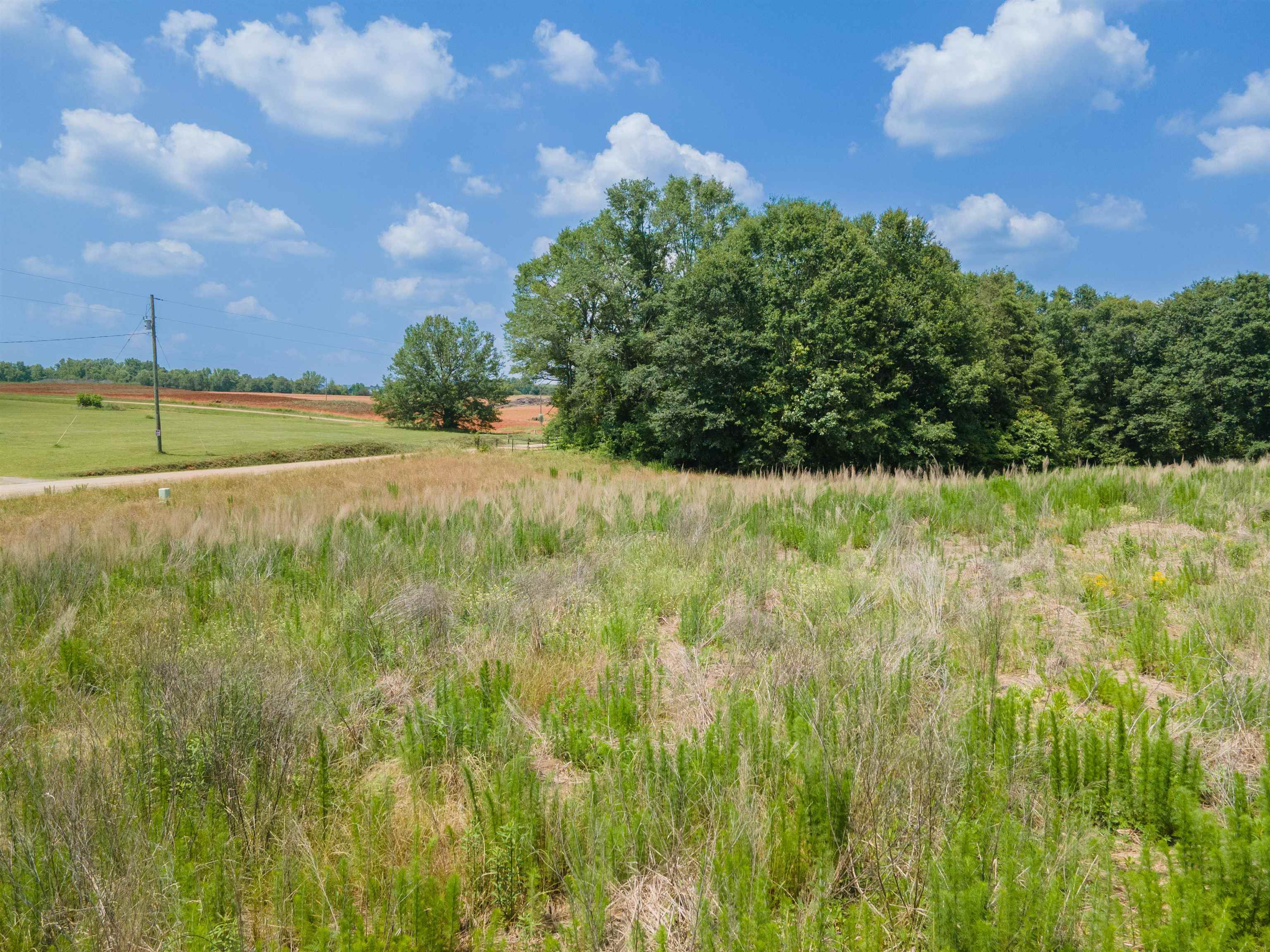 646 Plainview Drive, Spartanburg, South Carolina image 9
