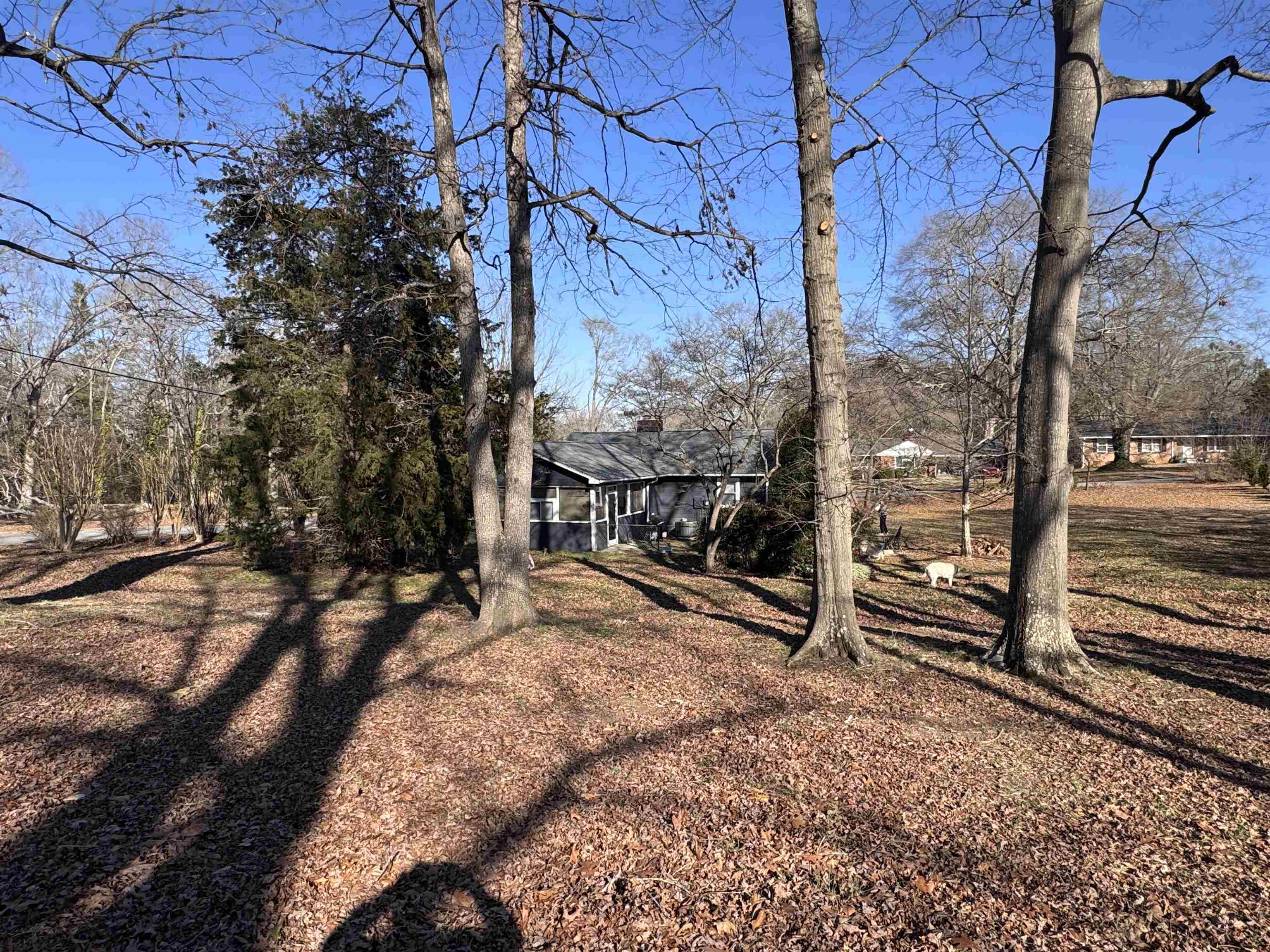 106 Hancock Avenue, Spartanburg, South Carolina image 5