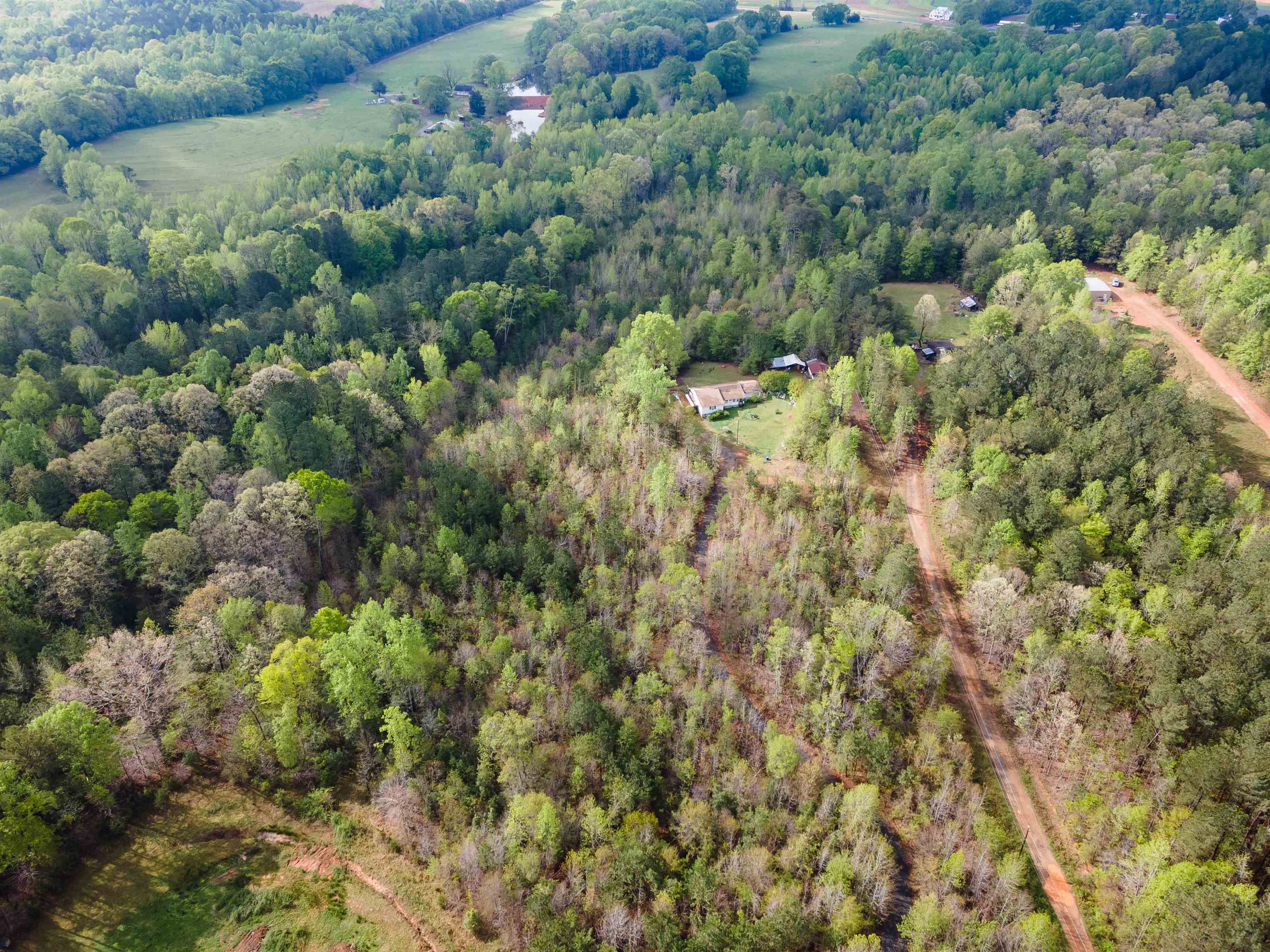 250 Ridgeway Road, Woodruff, South Carolina image 2