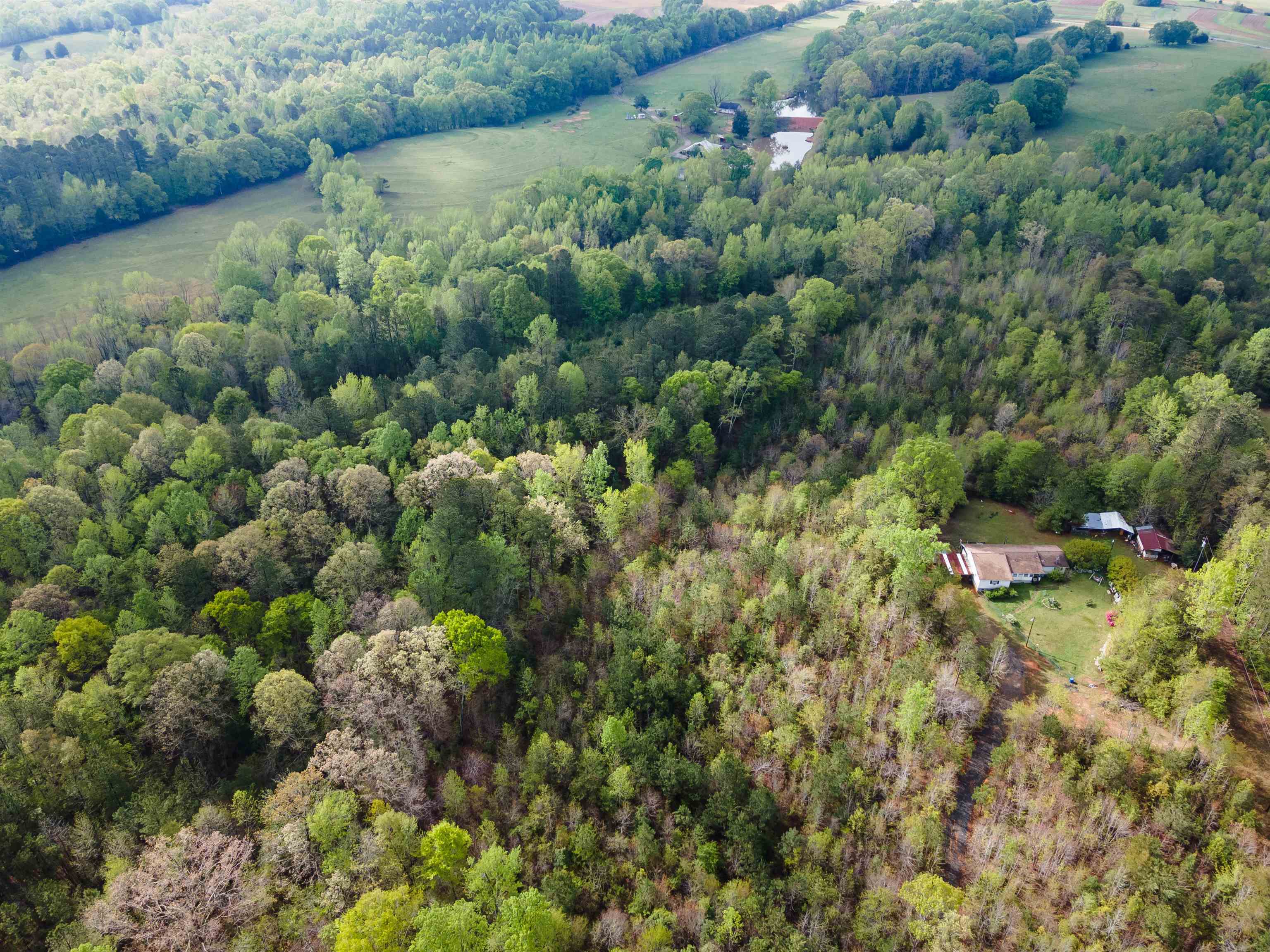 250 Ridgeway Road, Woodruff, South Carolina image 3