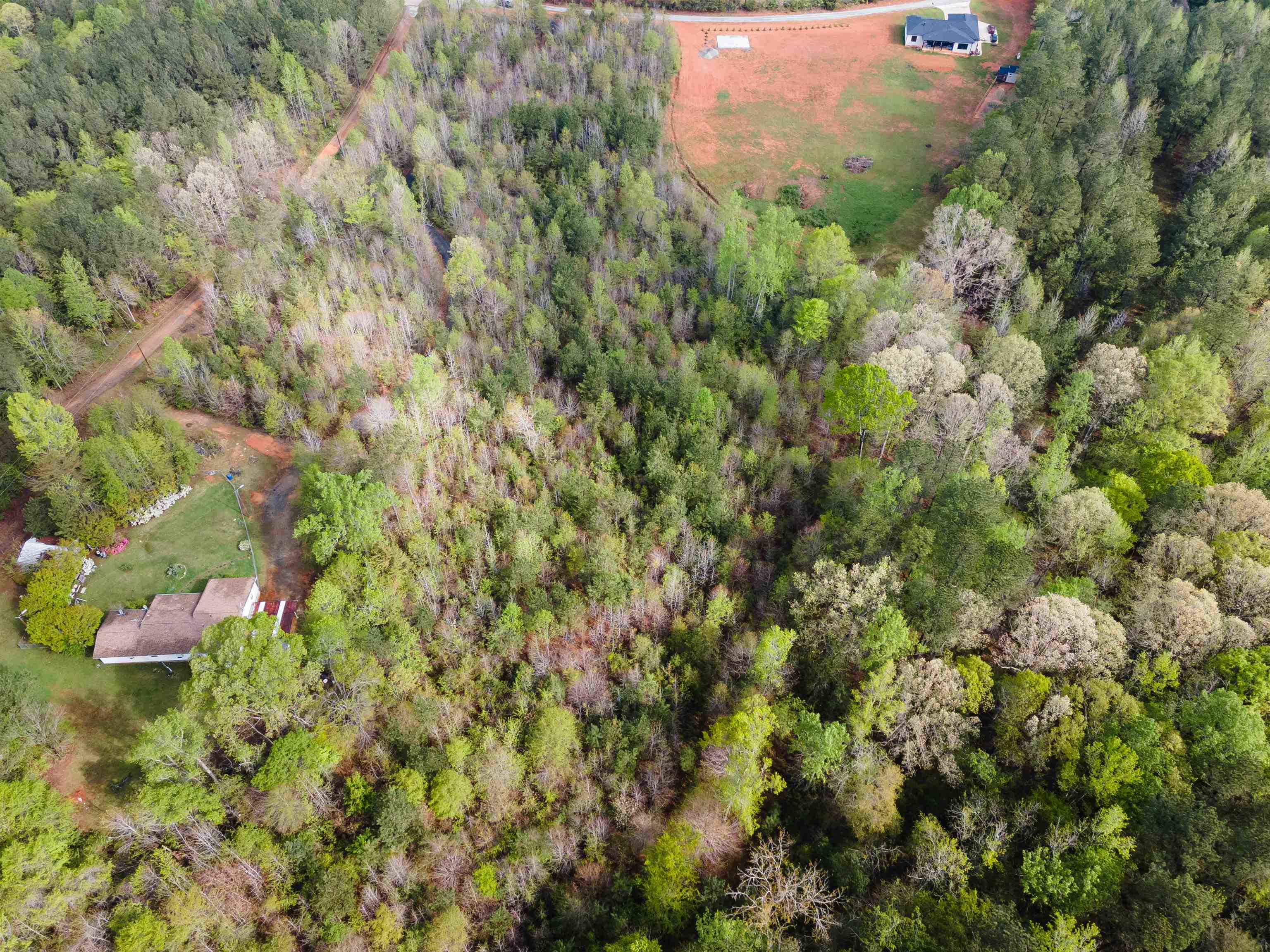 250 Ridgeway Road, Woodruff, South Carolina image 9