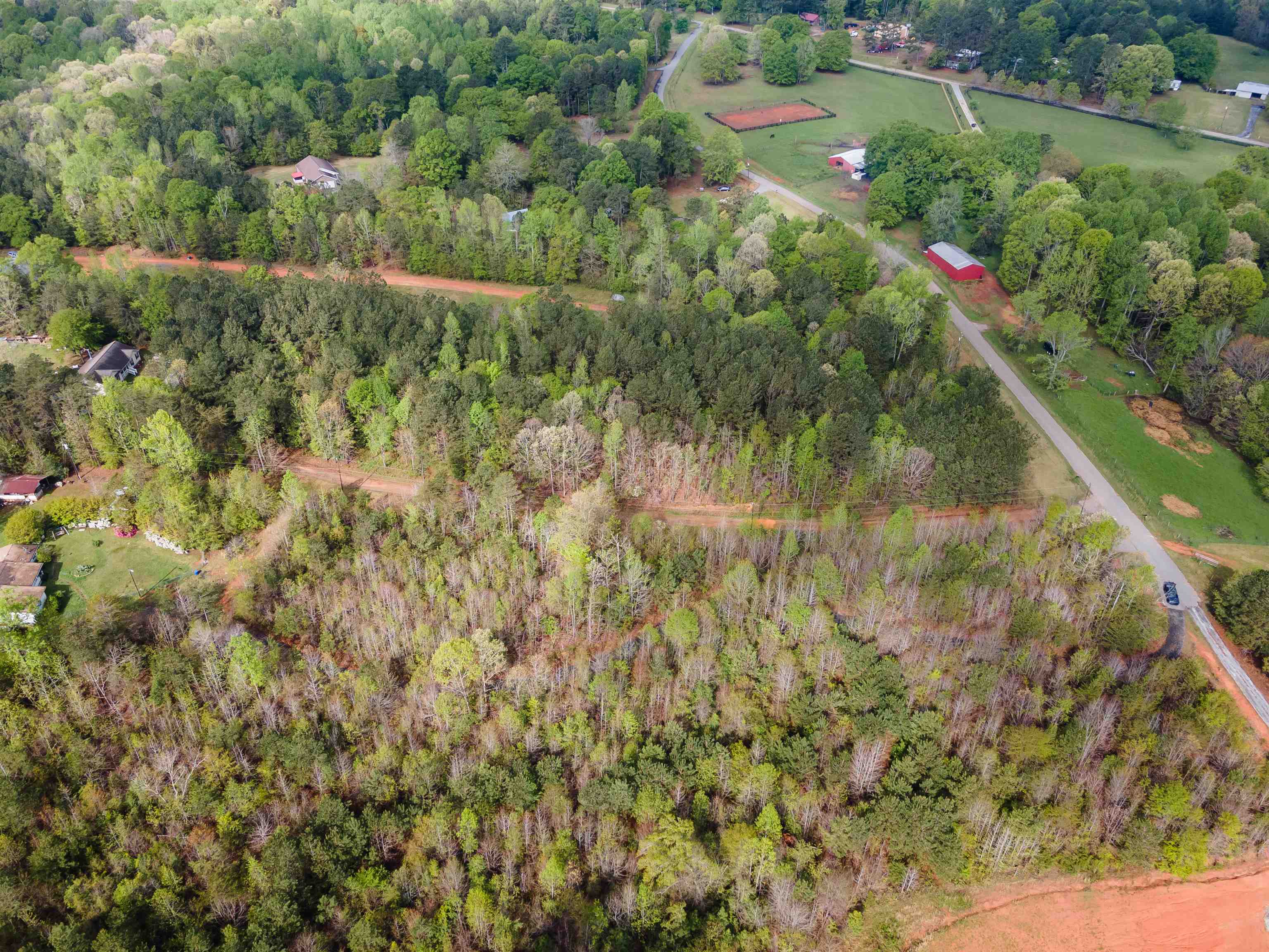 250 Ridgeway Road, Woodruff, South Carolina image 4