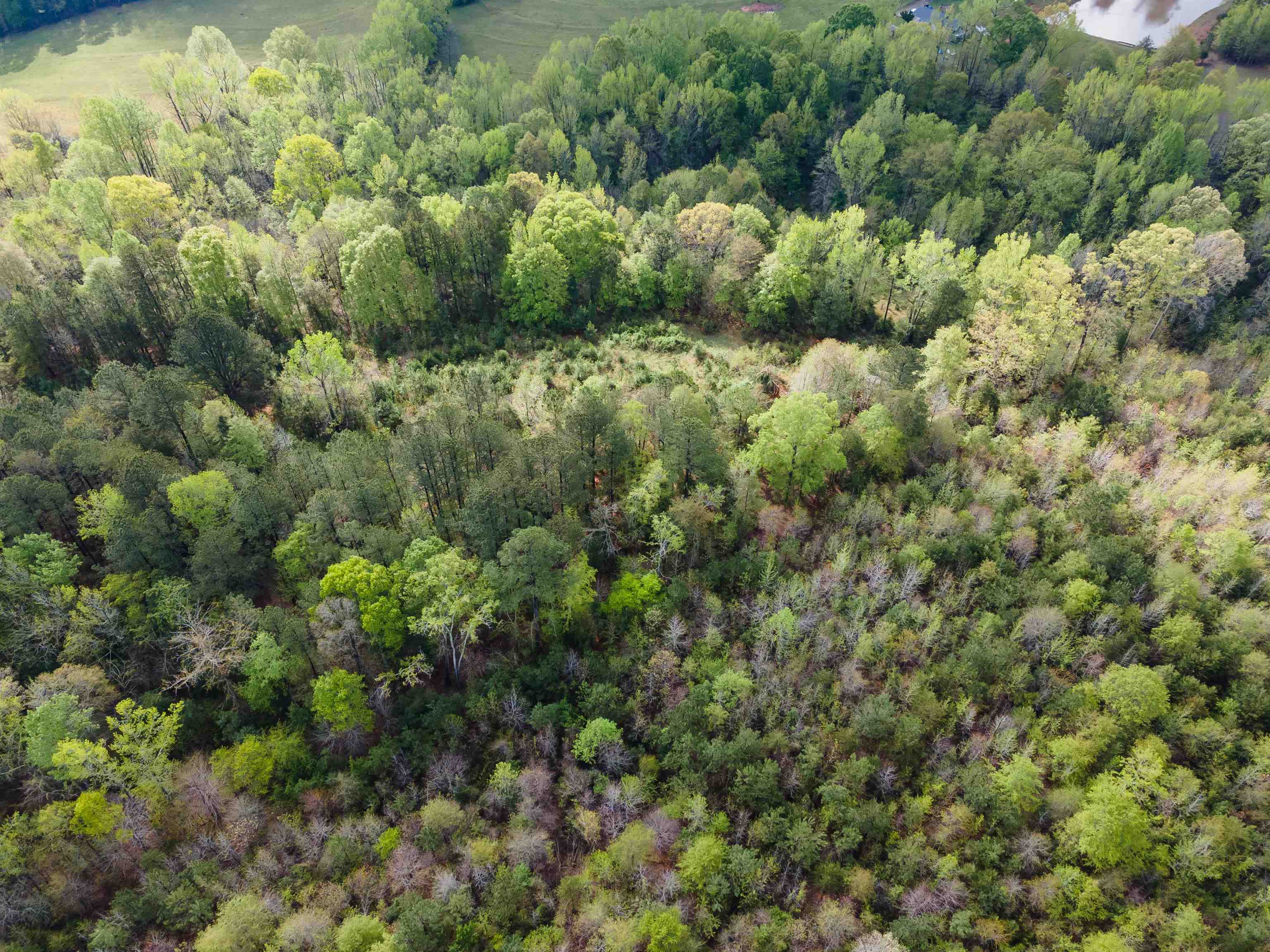 250 Ridgeway Road, Woodruff, South Carolina image 12