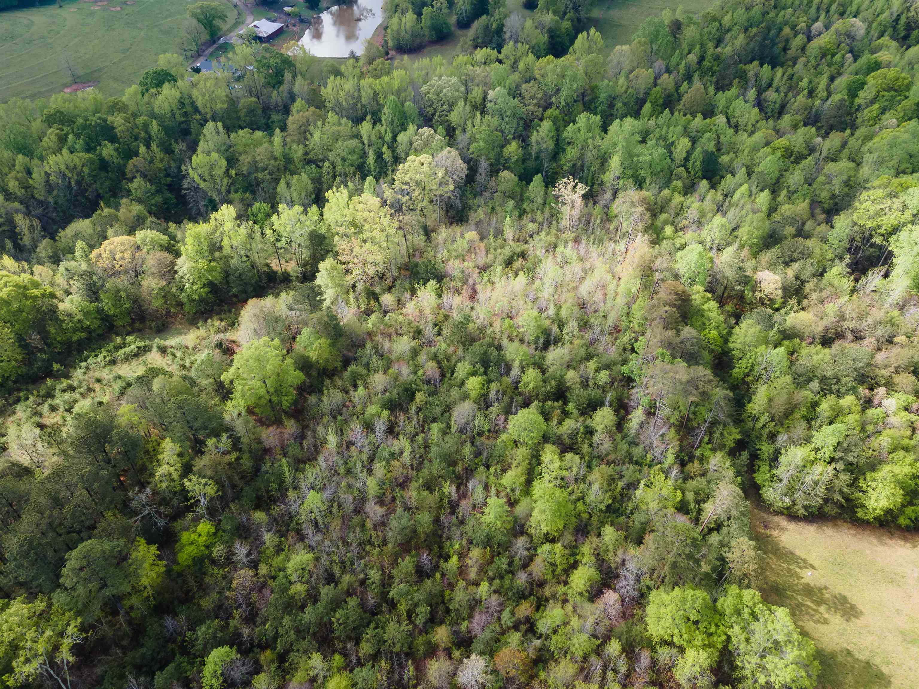 250 Ridgeway Road, Woodruff, South Carolina image 13