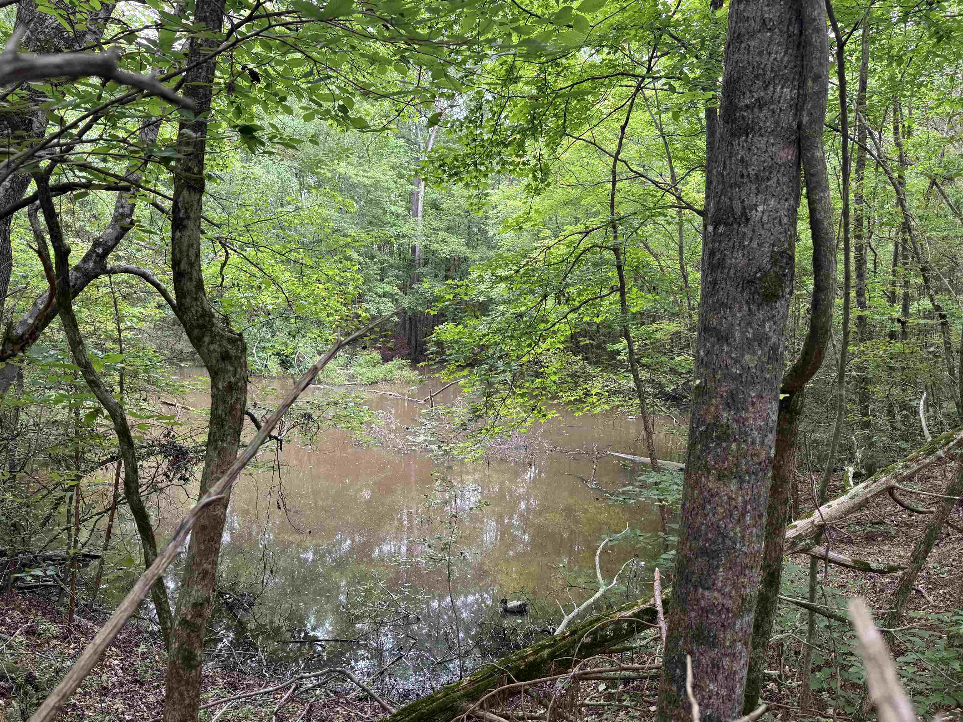 6050 Cross Anchor Road, Enoree, South Carolina image 41