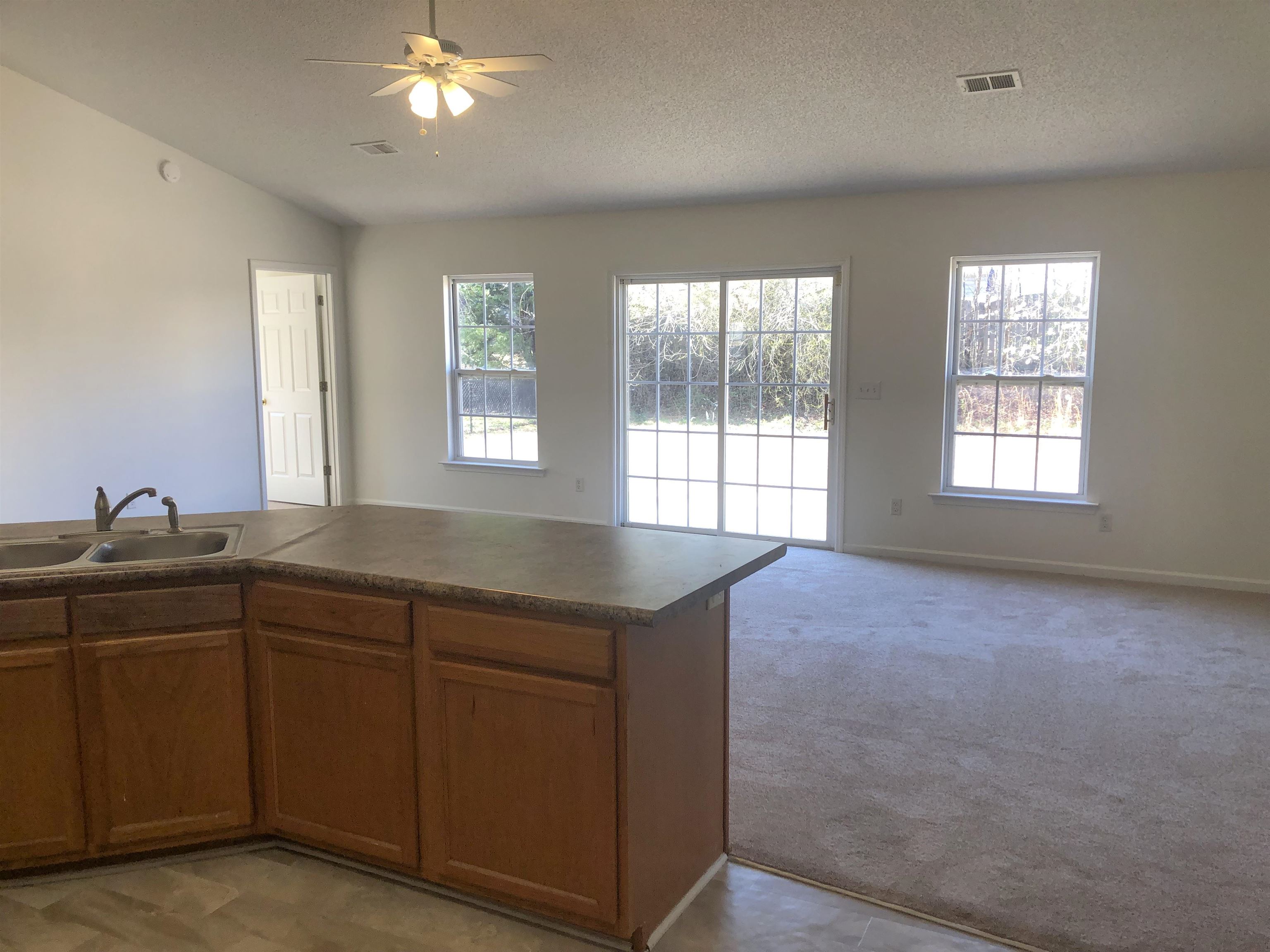 309 Steelman Drive, Inman, South Carolina image 8