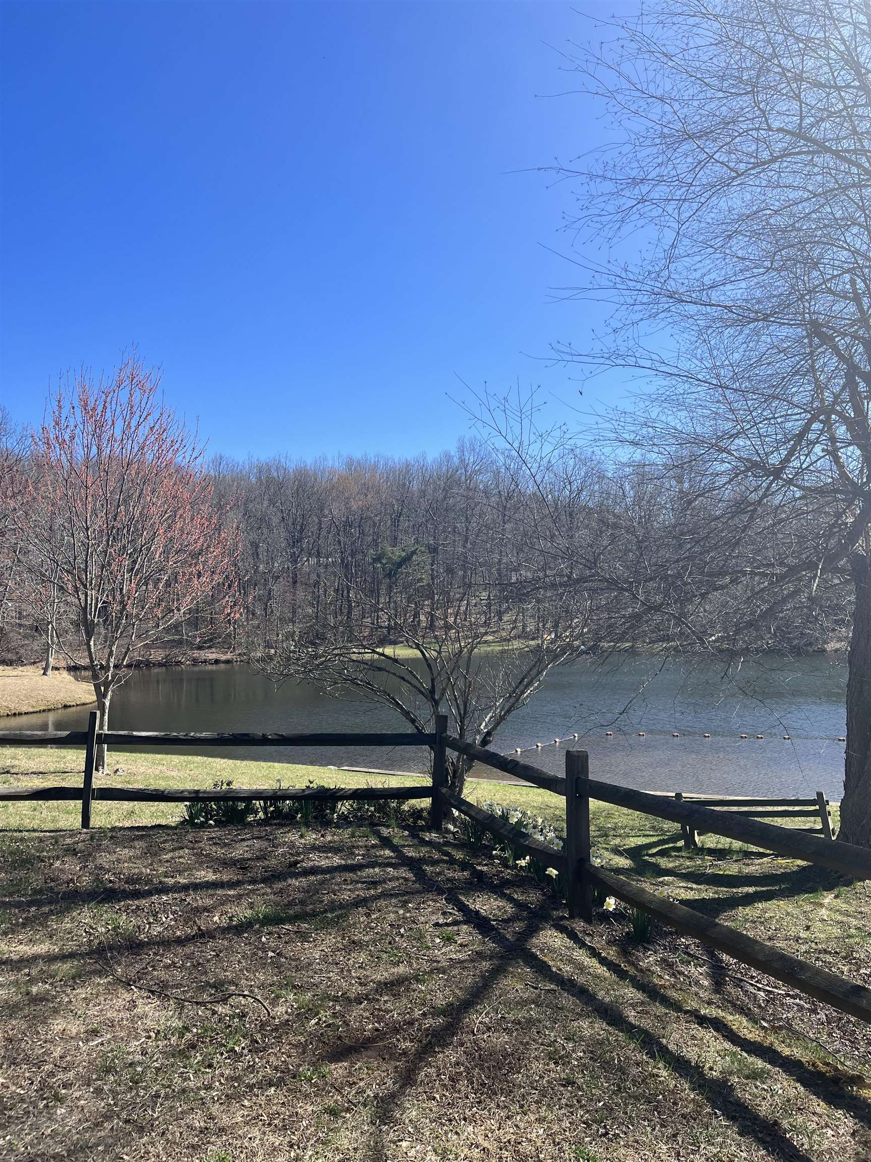 888 White Oak Mountain Road, Columbus, North Carolina image 43