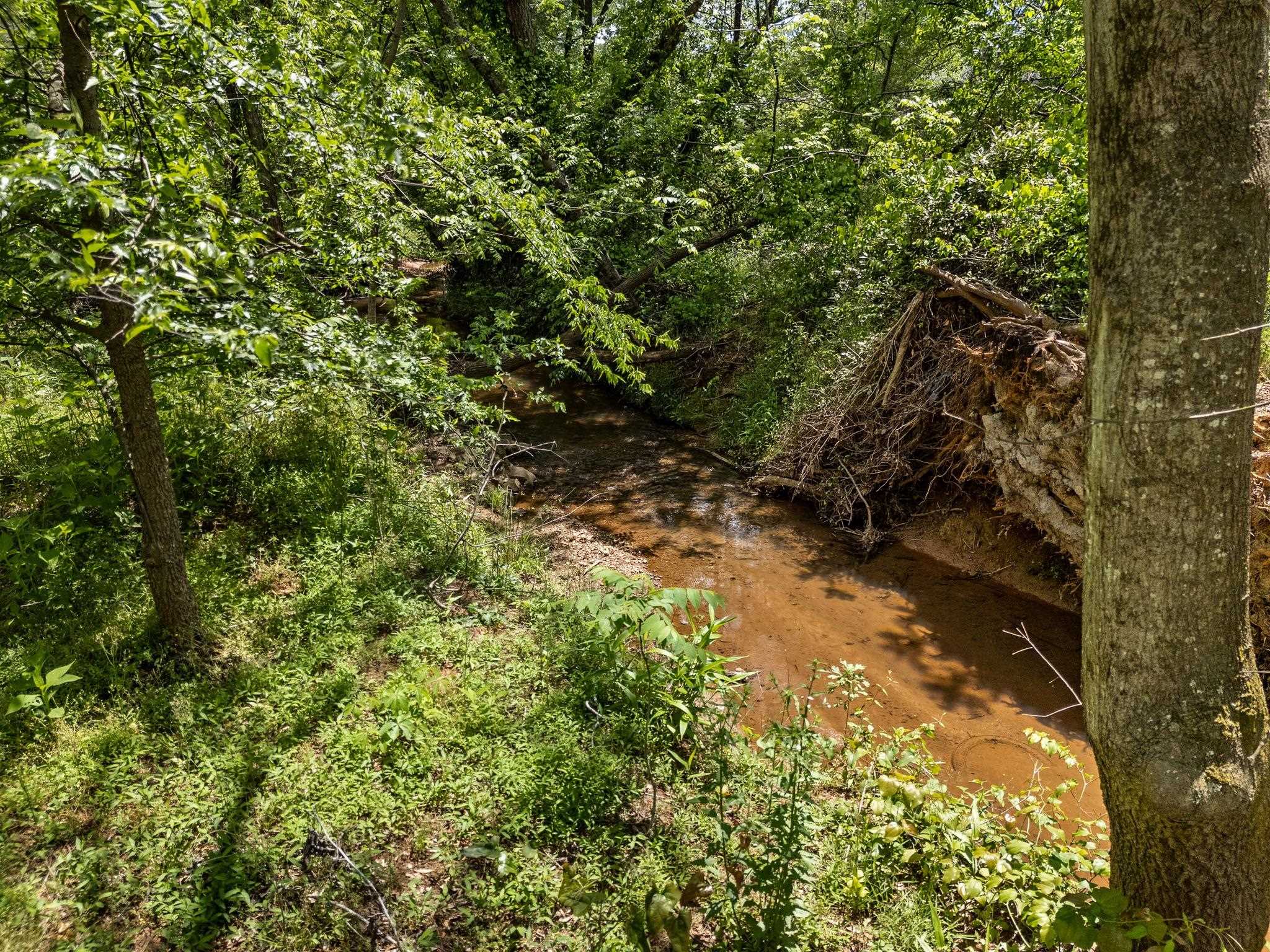 127 Shining Rock Court, Boiling Springs, South Carolina image 36