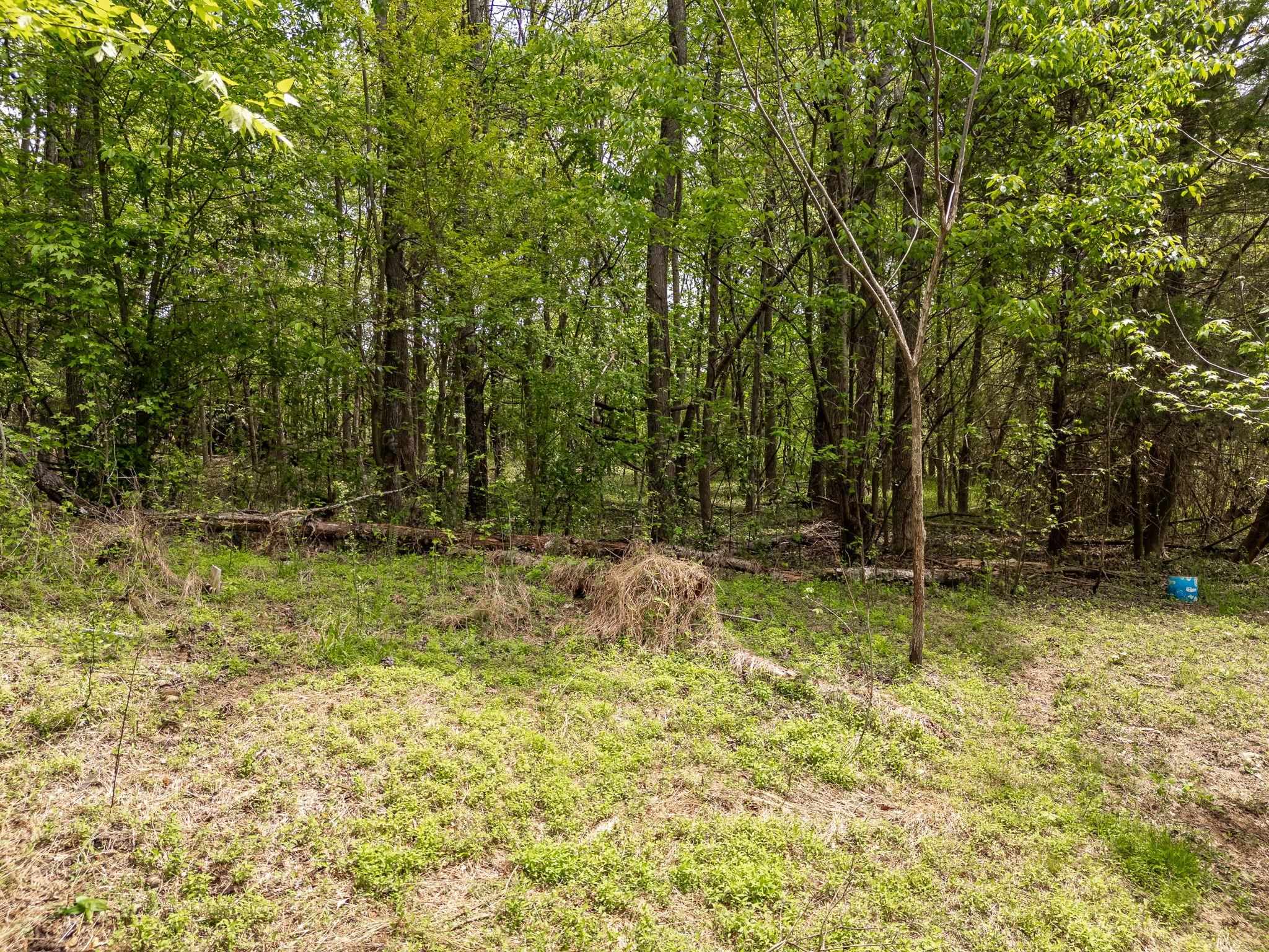 3739 Cowpens Pacolet Road, Spartanburg, South Carolina image 5