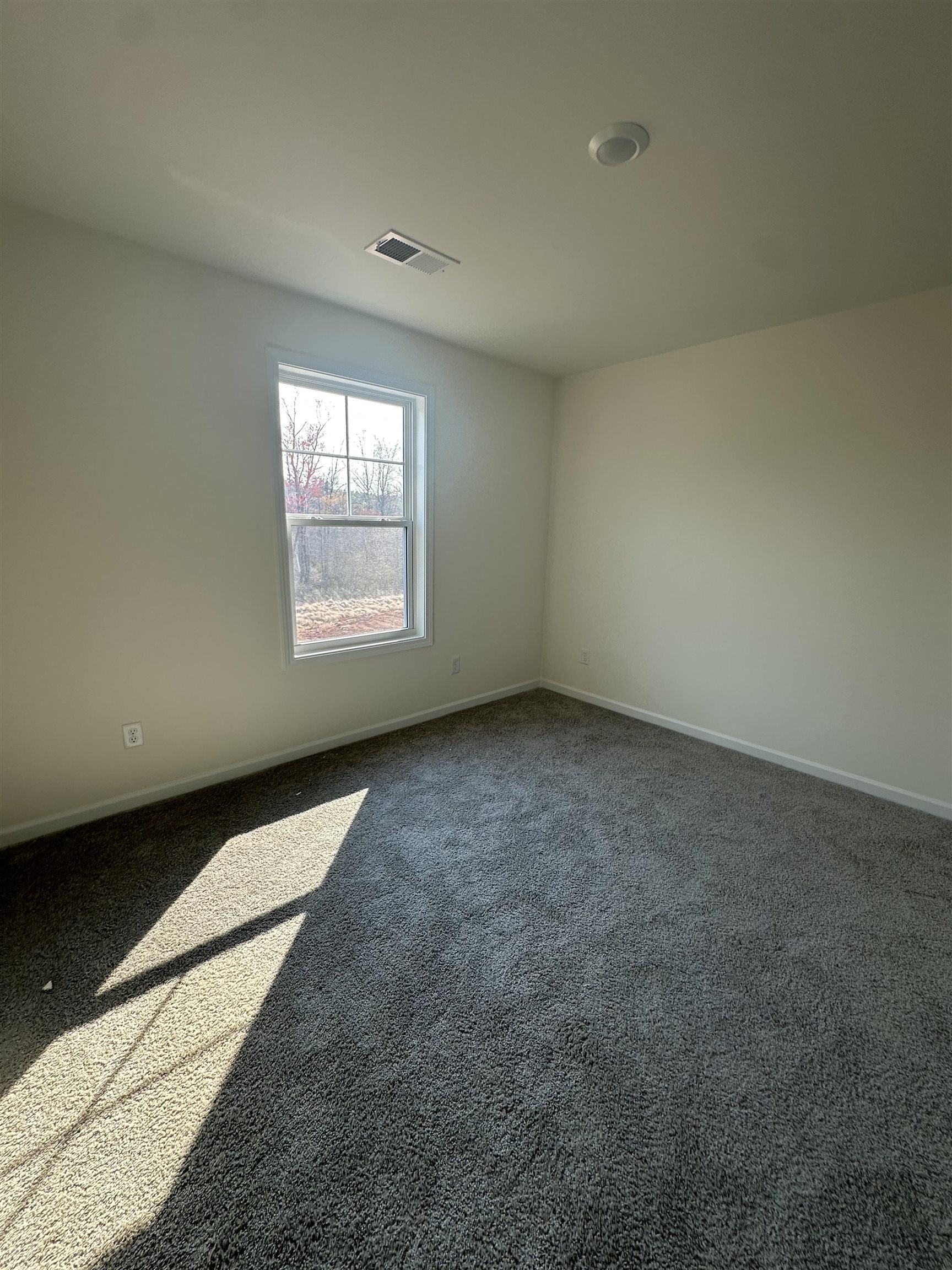 736 Gilgal Lane, Lyman, South Carolina image 21