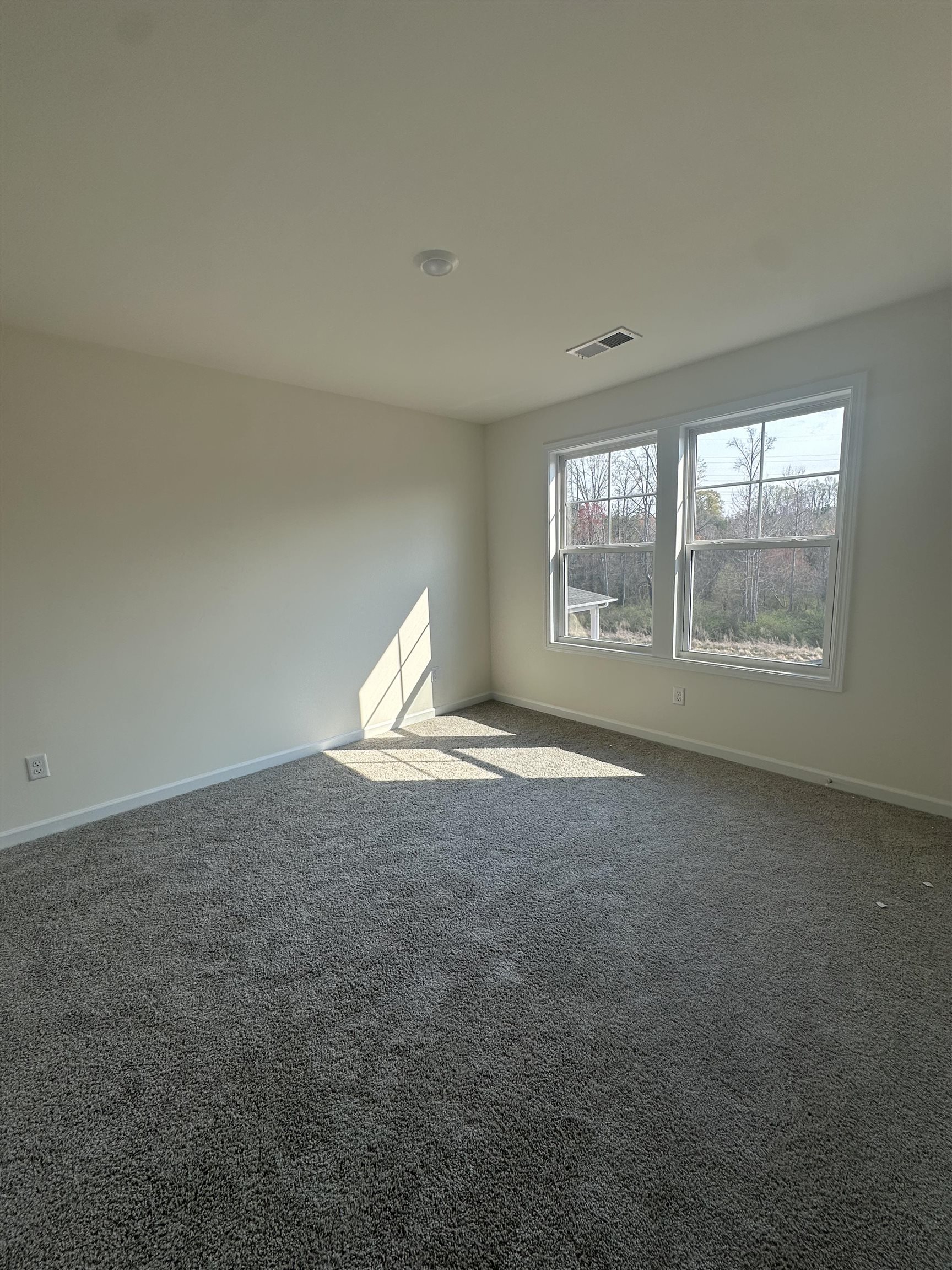 736 Gilgal Lane, Lyman, South Carolina image 20