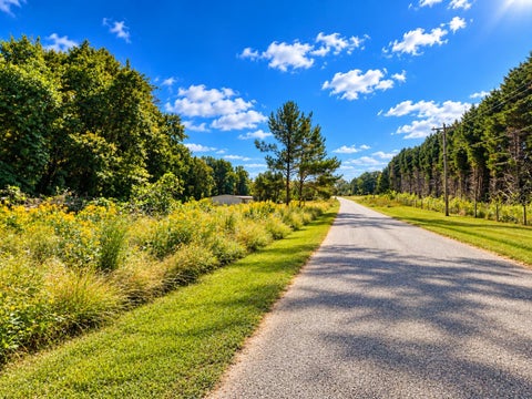 Vacant Land For Sale - 526 Wilkins Ford Road<br/> Inman, SC 29349