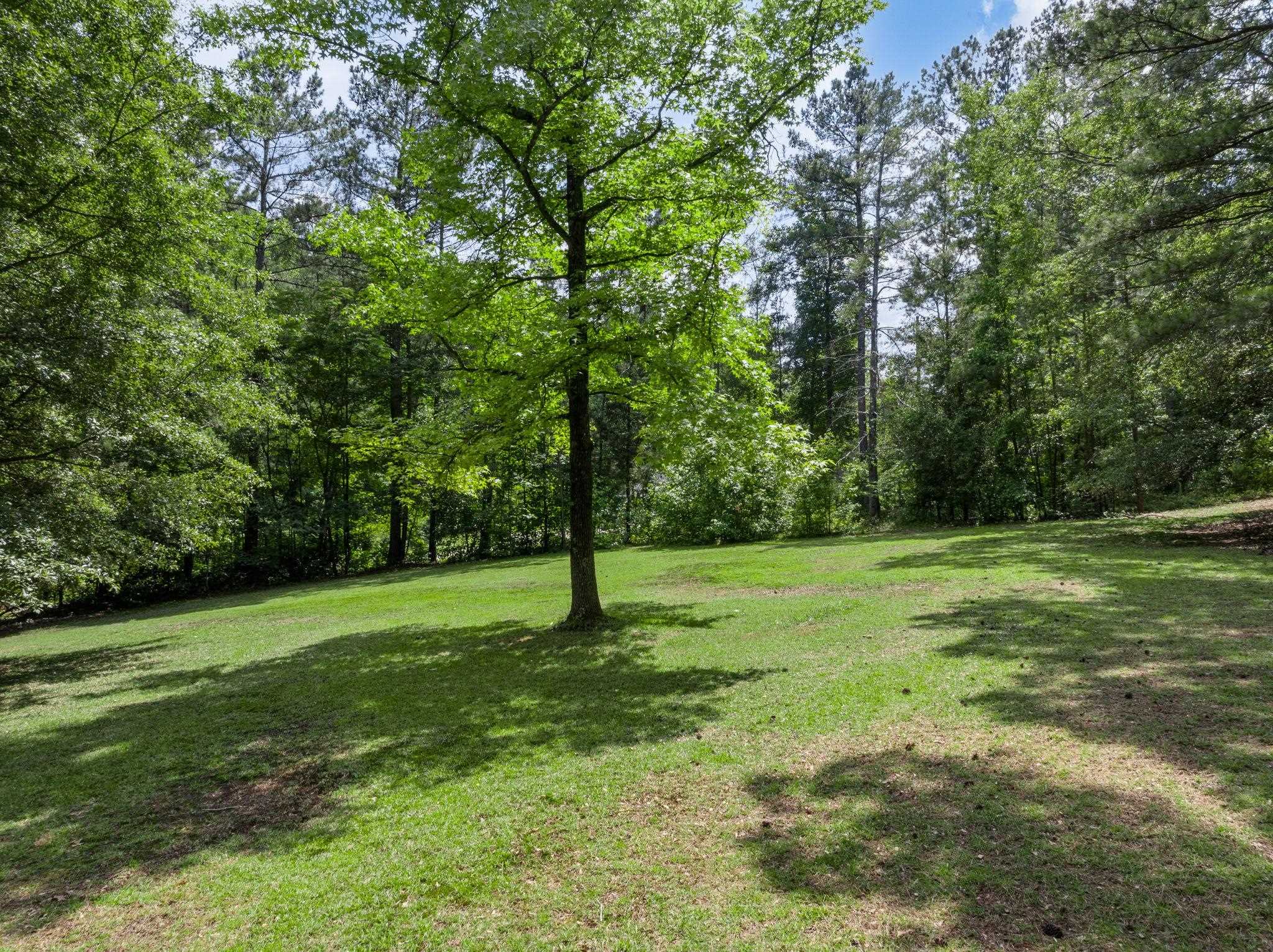 120 Penny Lane Lane, Cowpens, South Carolina image 45