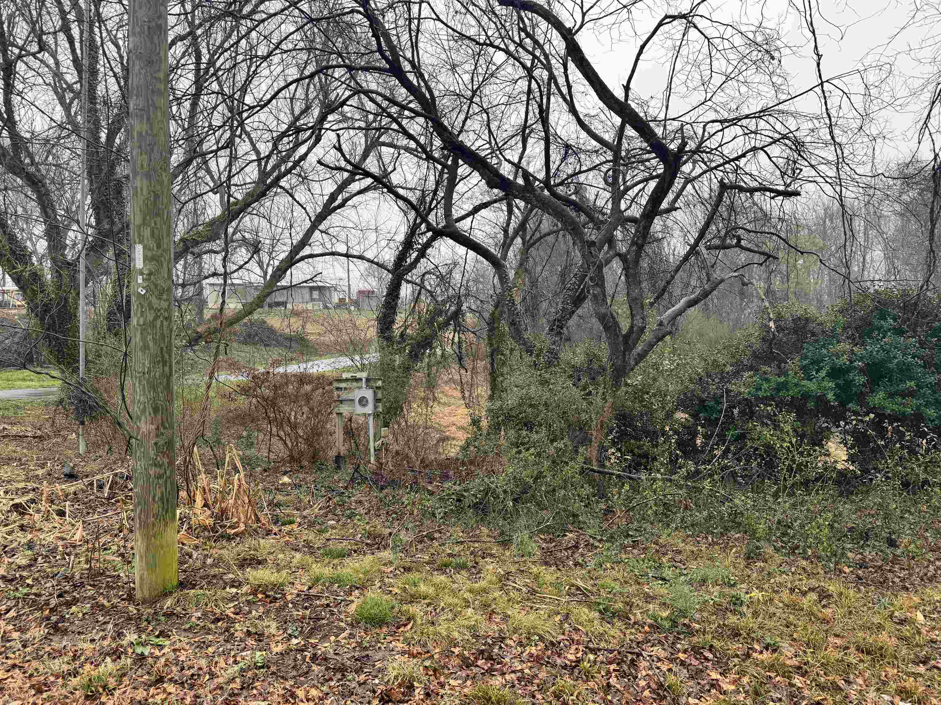311 S High Street, Spartanburg, South Carolina image 5