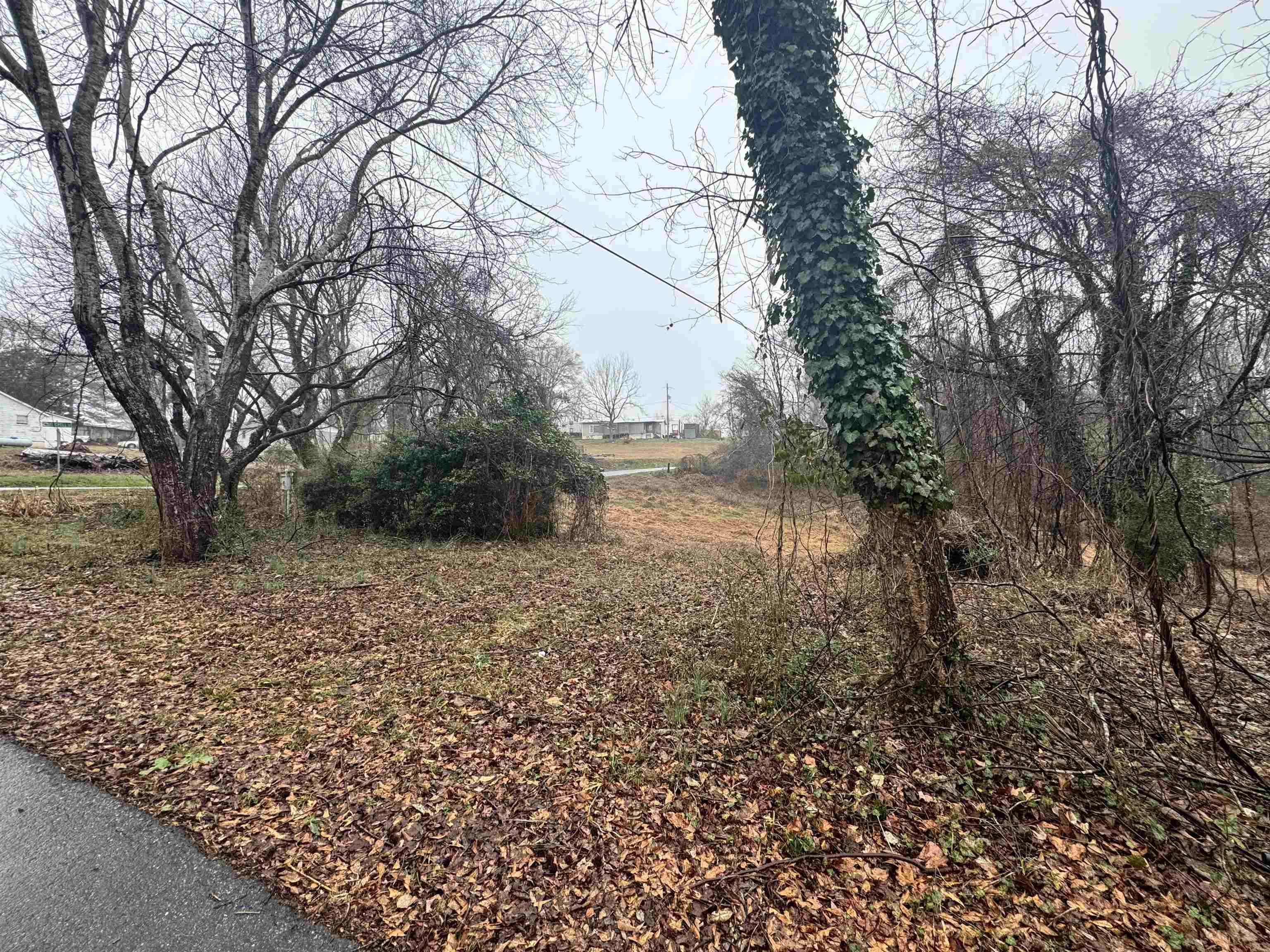 311 S High Street, Spartanburg, South Carolina image 4
