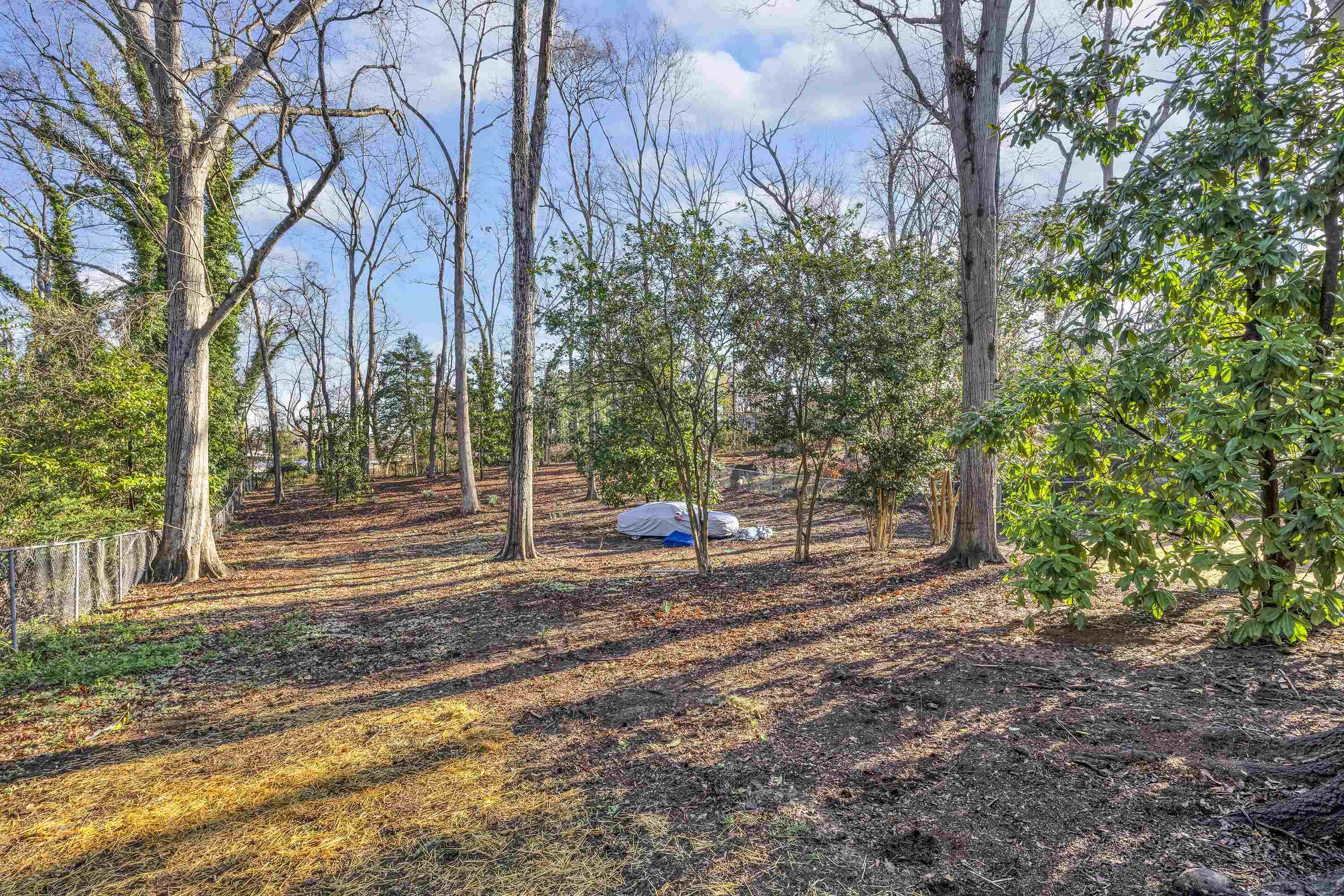 161 Ivy Street, Spartanburg, South Carolina image 32