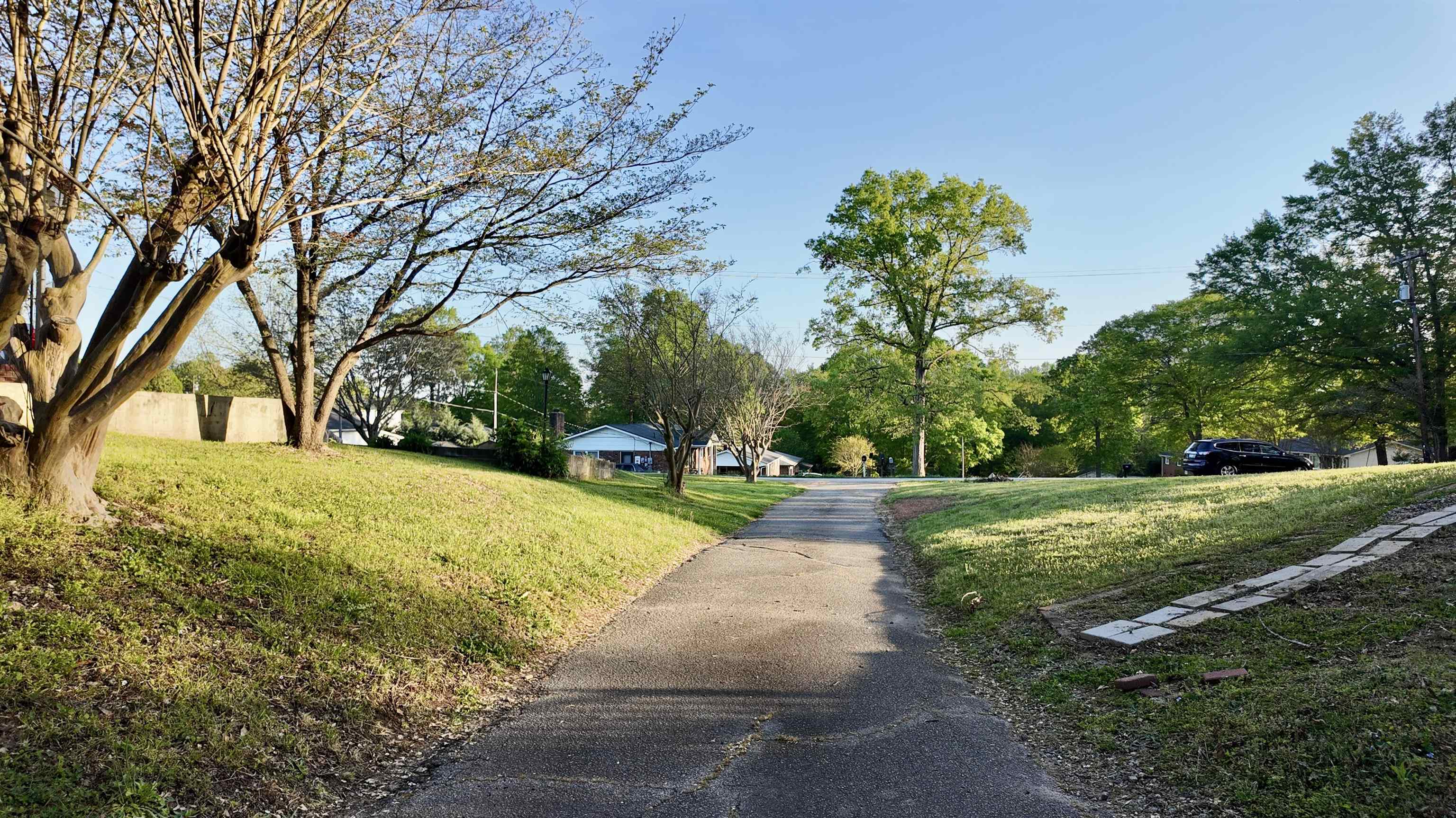 471 Zellen Drive, Spartanburg, South Carolina image 10