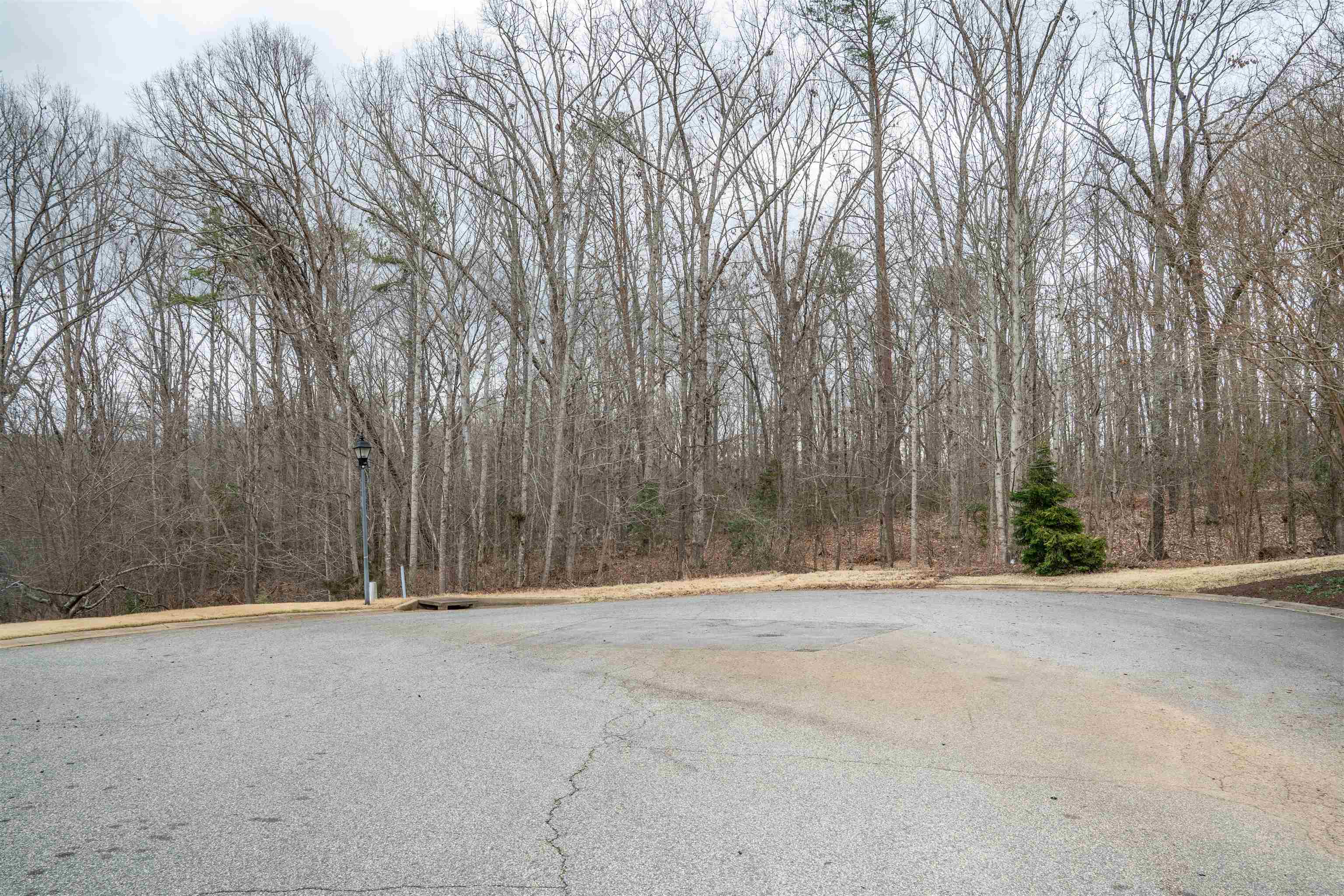 799 E Long Bay Drive, Inman, South Carolina image 3