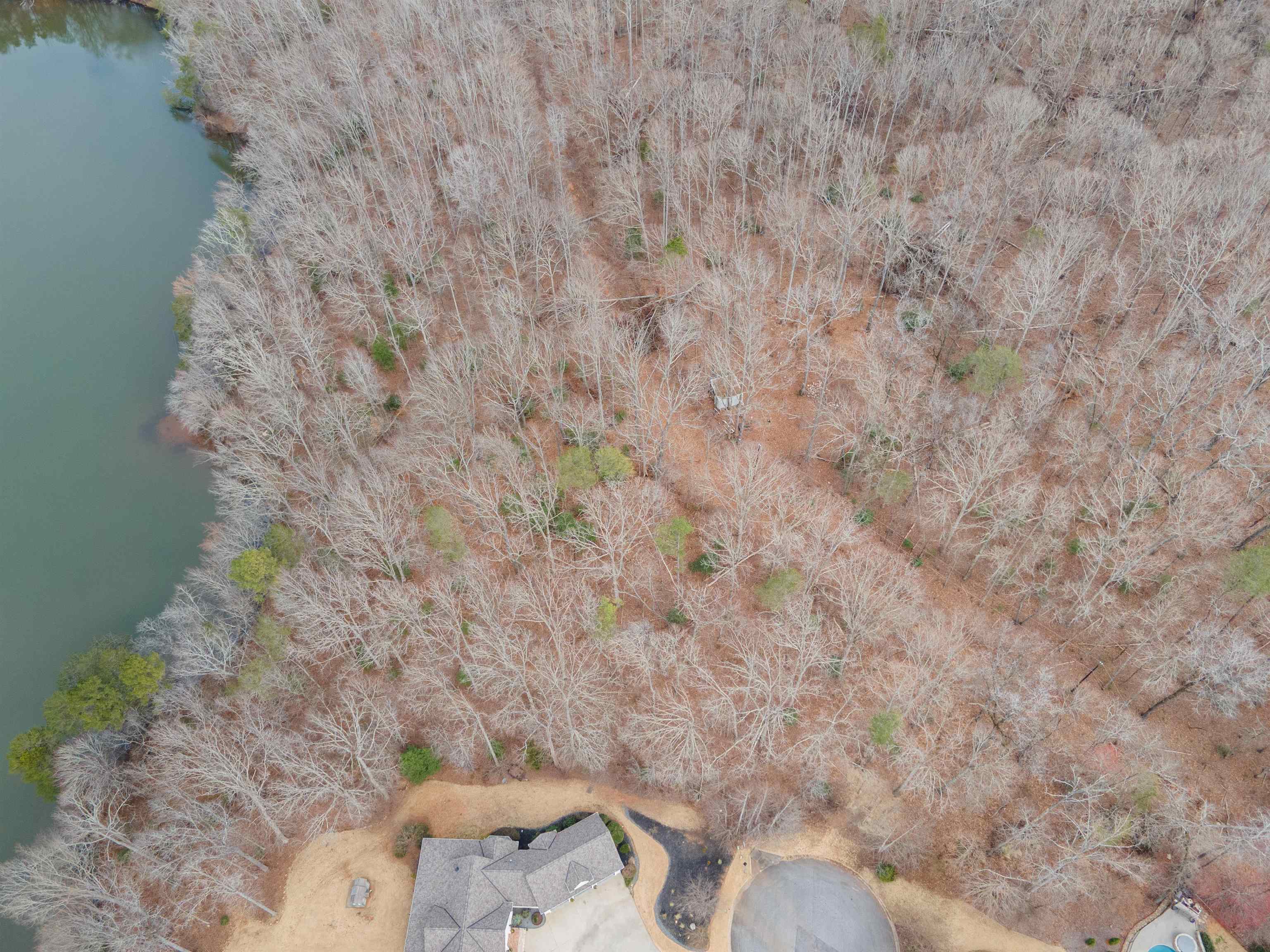 799 E Long Bay Drive, Inman, South Carolina image 12