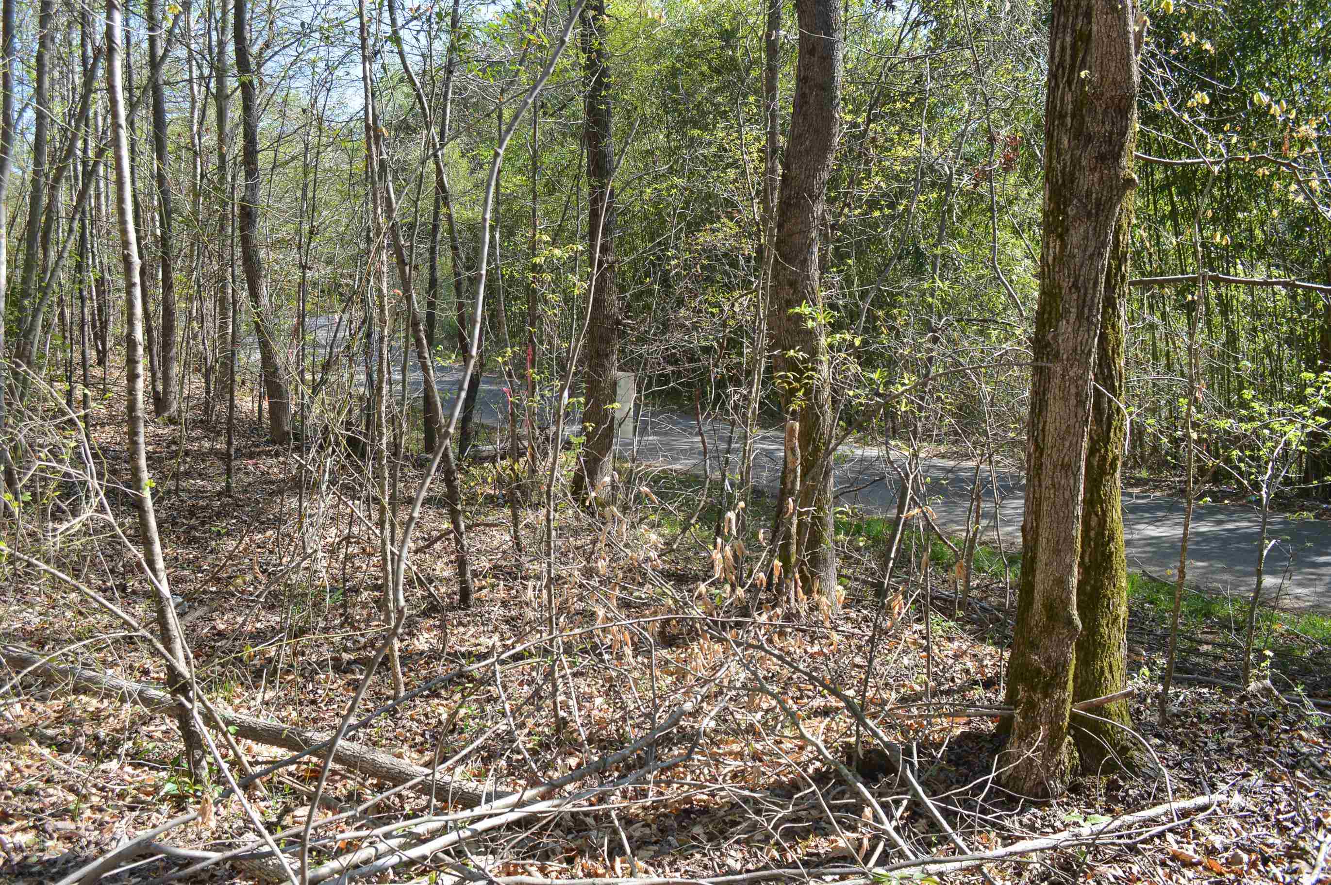 760 N. Elm Ave Ave, Landrum, South Carolina image 4