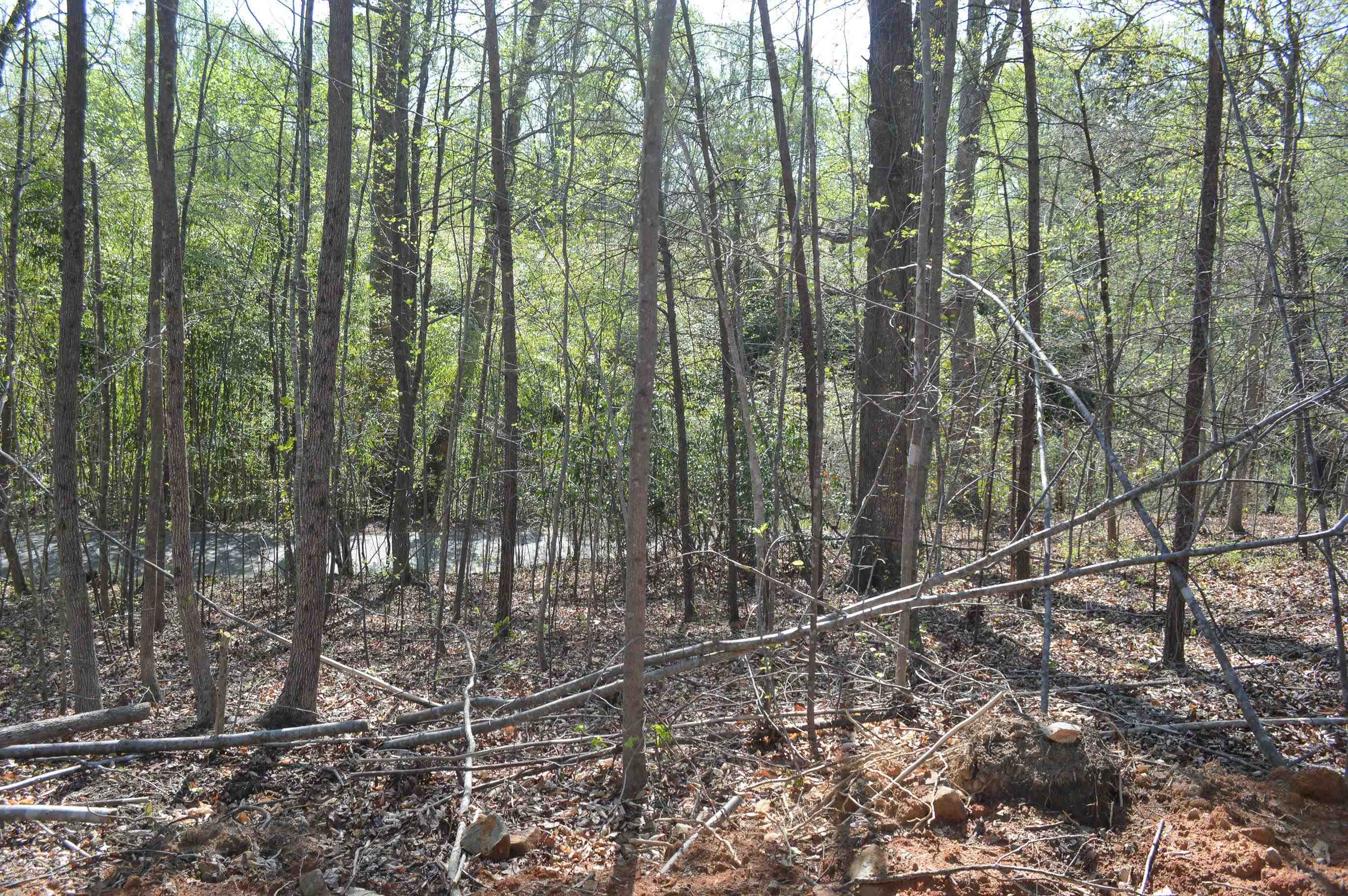 760 N. Elm Ave Ave, Landrum, South Carolina image 7