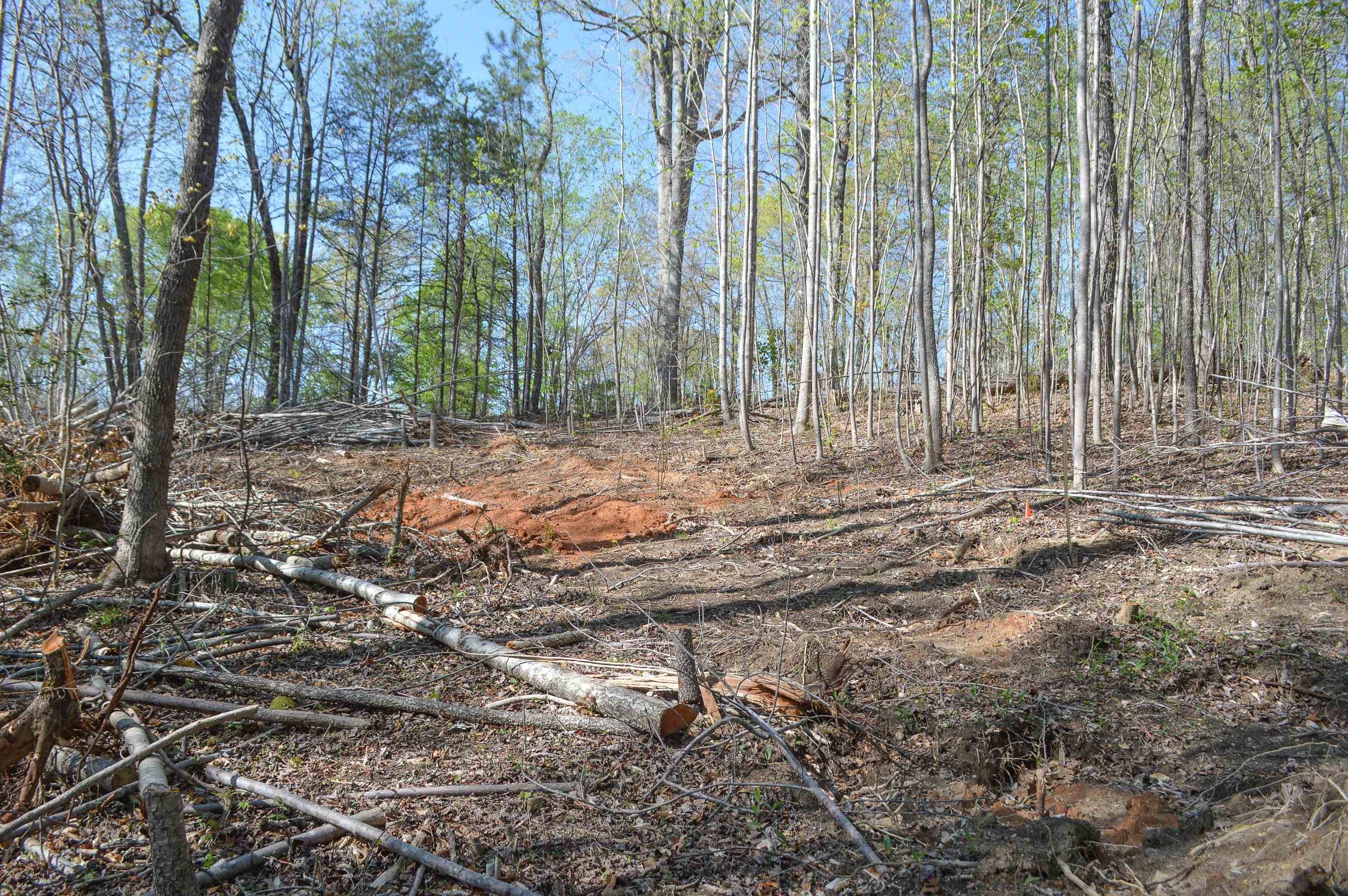 760 N. Elm Ave Ave, Landrum, South Carolina image 6