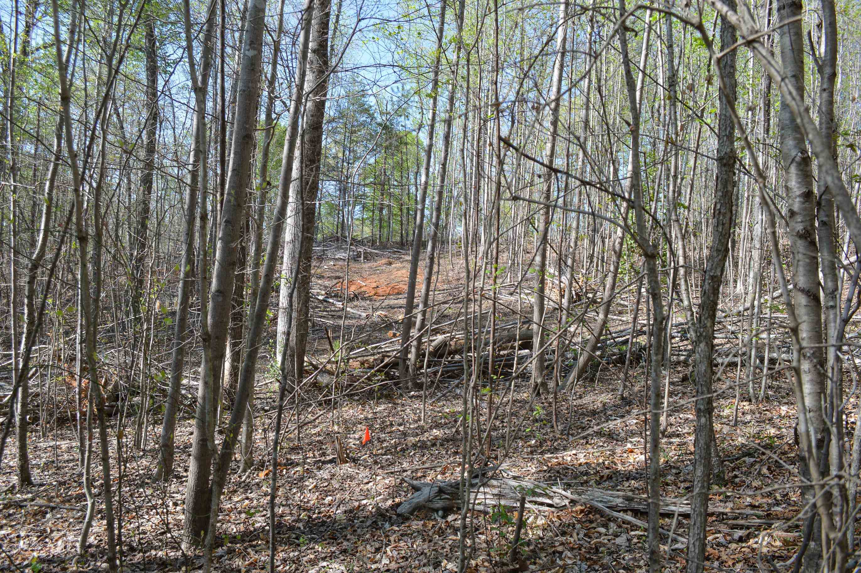 760 N. Elm Ave Ave, Landrum, South Carolina image 13