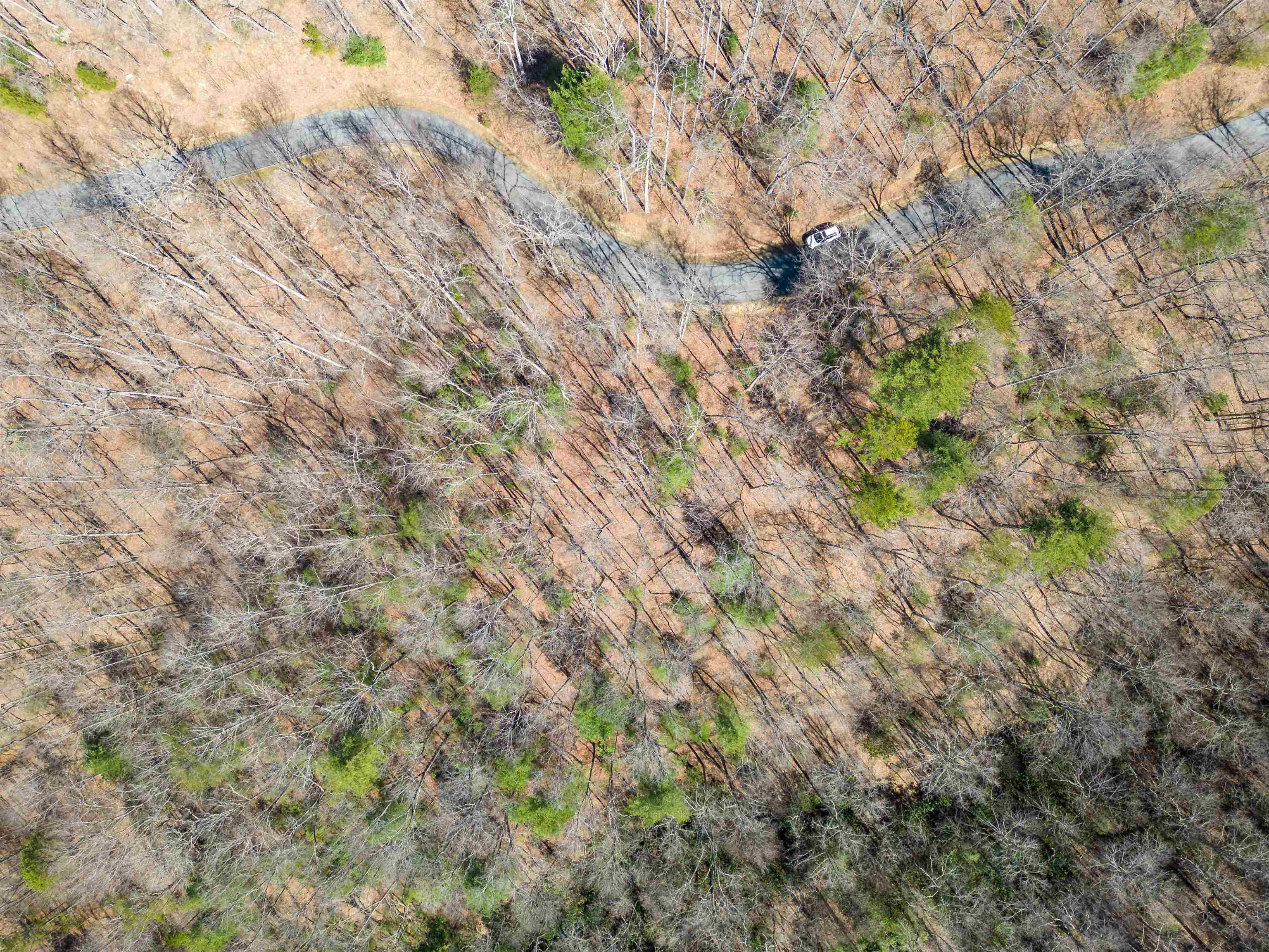 132 Overlook Park Drive, Hendersonville, North Carolina image 7