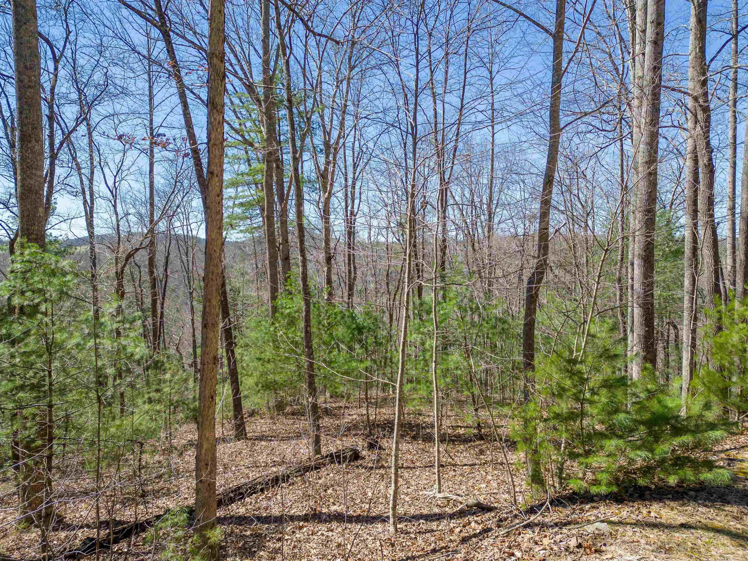132 Overlook Park Drive, Hendersonville, North Carolina image 17