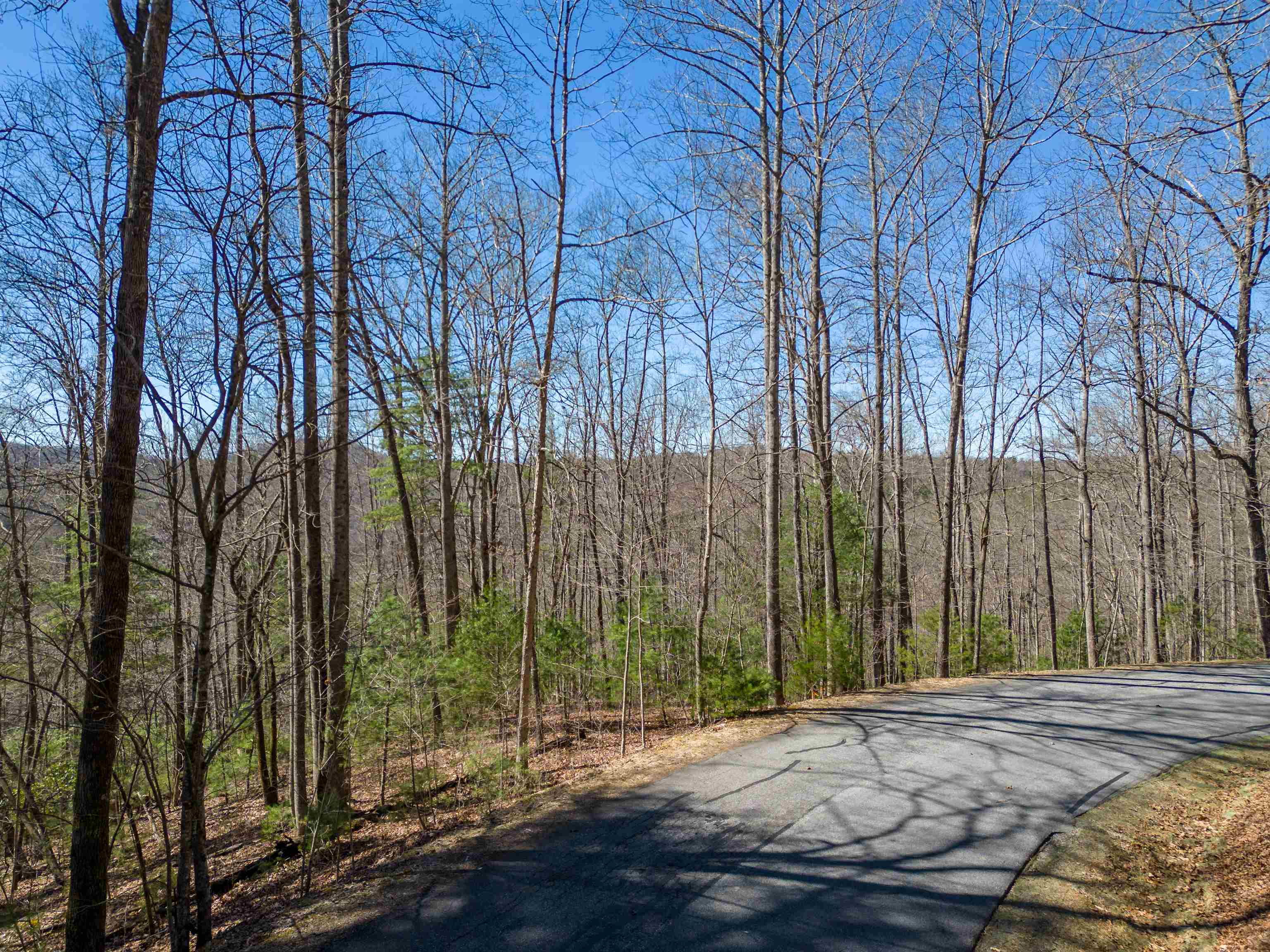 132 Overlook Park Drive, Hendersonville, North Carolina image 6