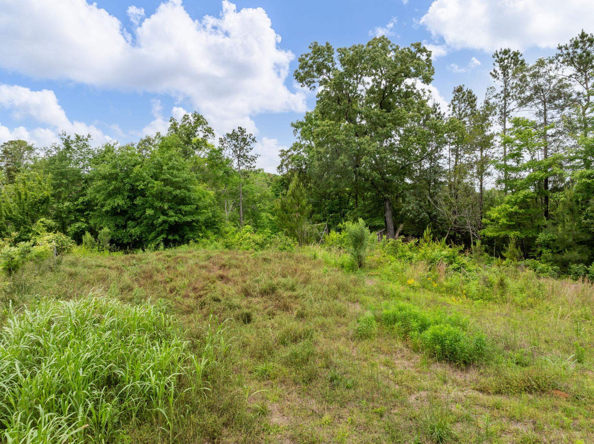 1225 Dogwood Lane, Clinton, South Carolina image 25