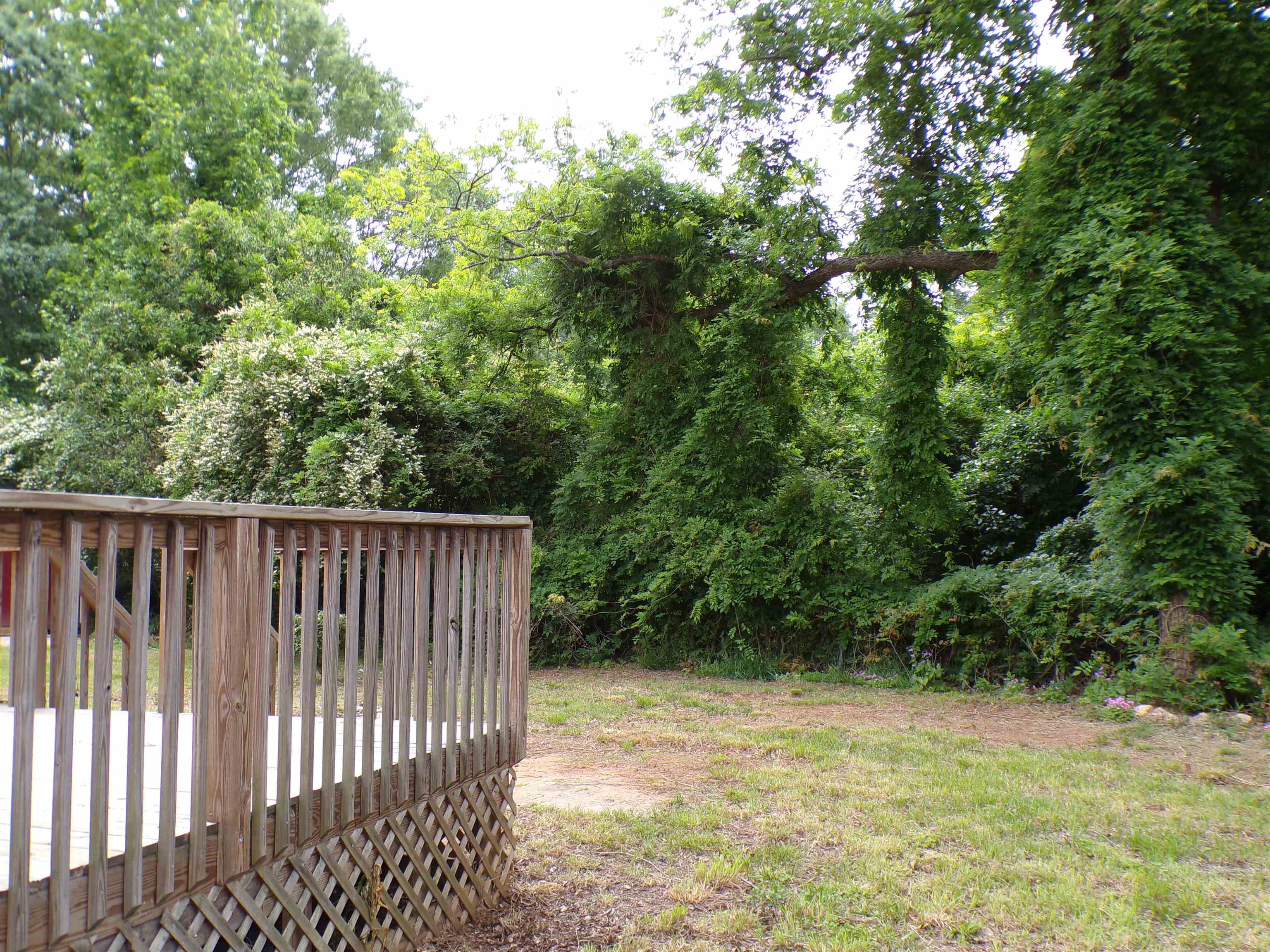 407 Green Street, Belton, South Carolina image 18