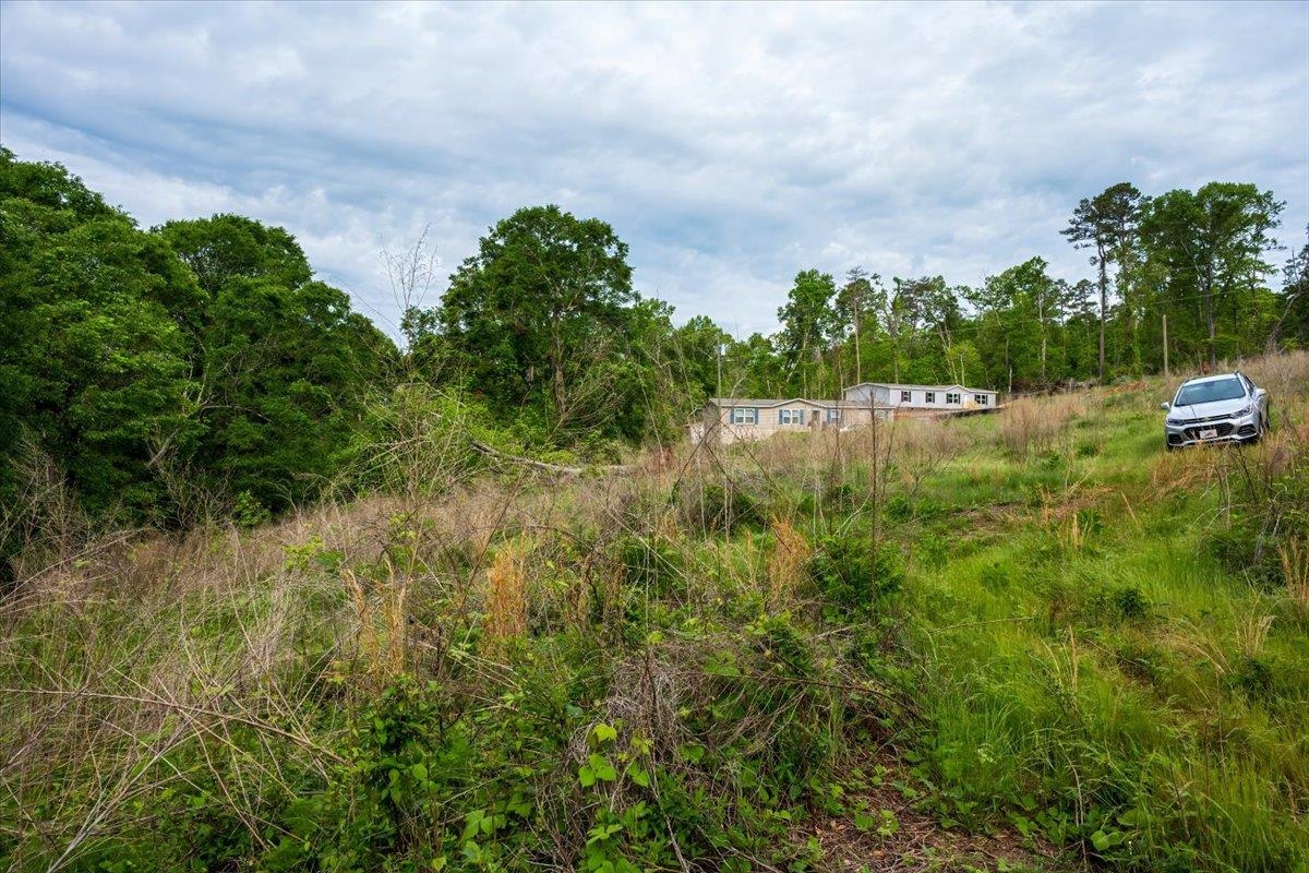 00 Skyline Road, Greer, South Carolina image 3